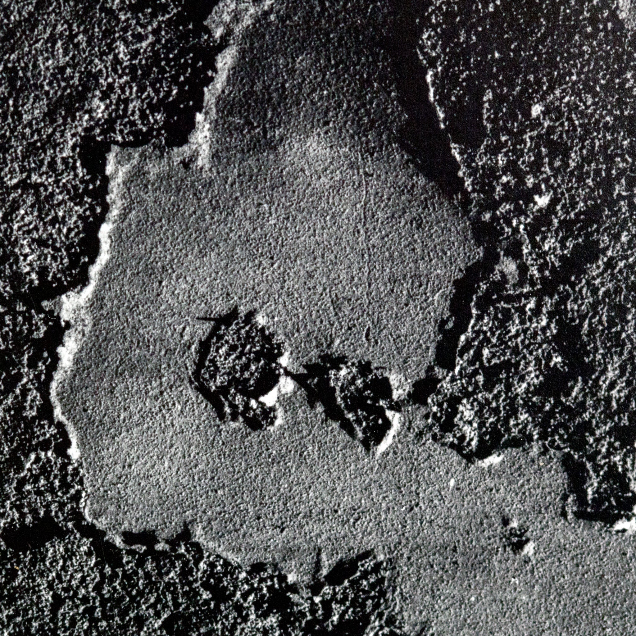 AARON SISKIND "CHICAGO 48" PHOTO - Image 3