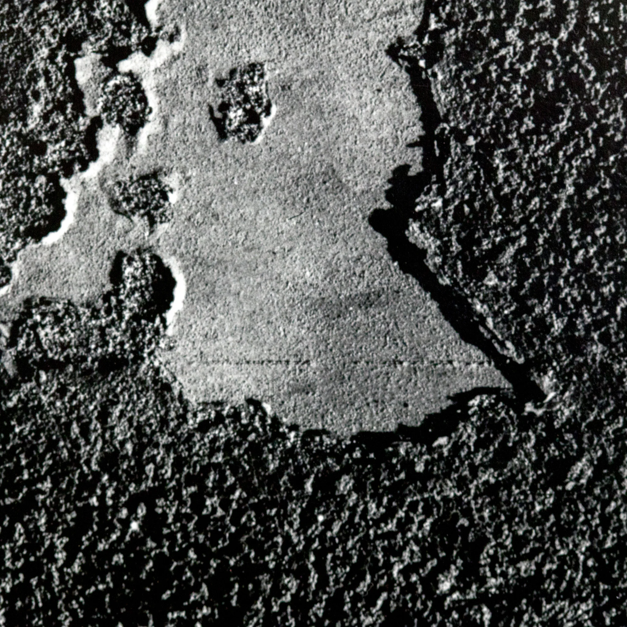 AARON SISKIND "CHICAGO 48" PHOTO - Image 4