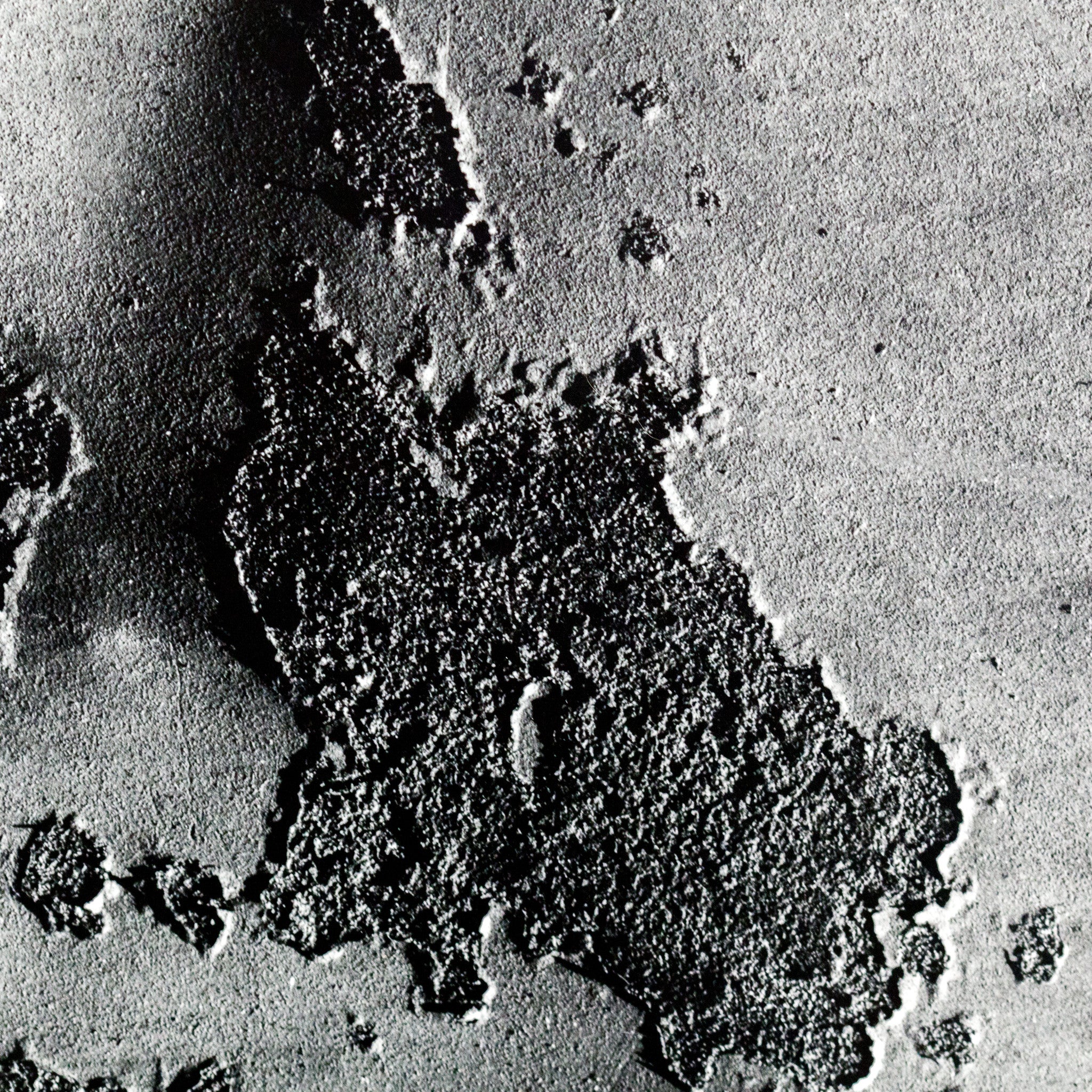 AARON SISKIND "CHICAGO 48" PHOTO - Image 5