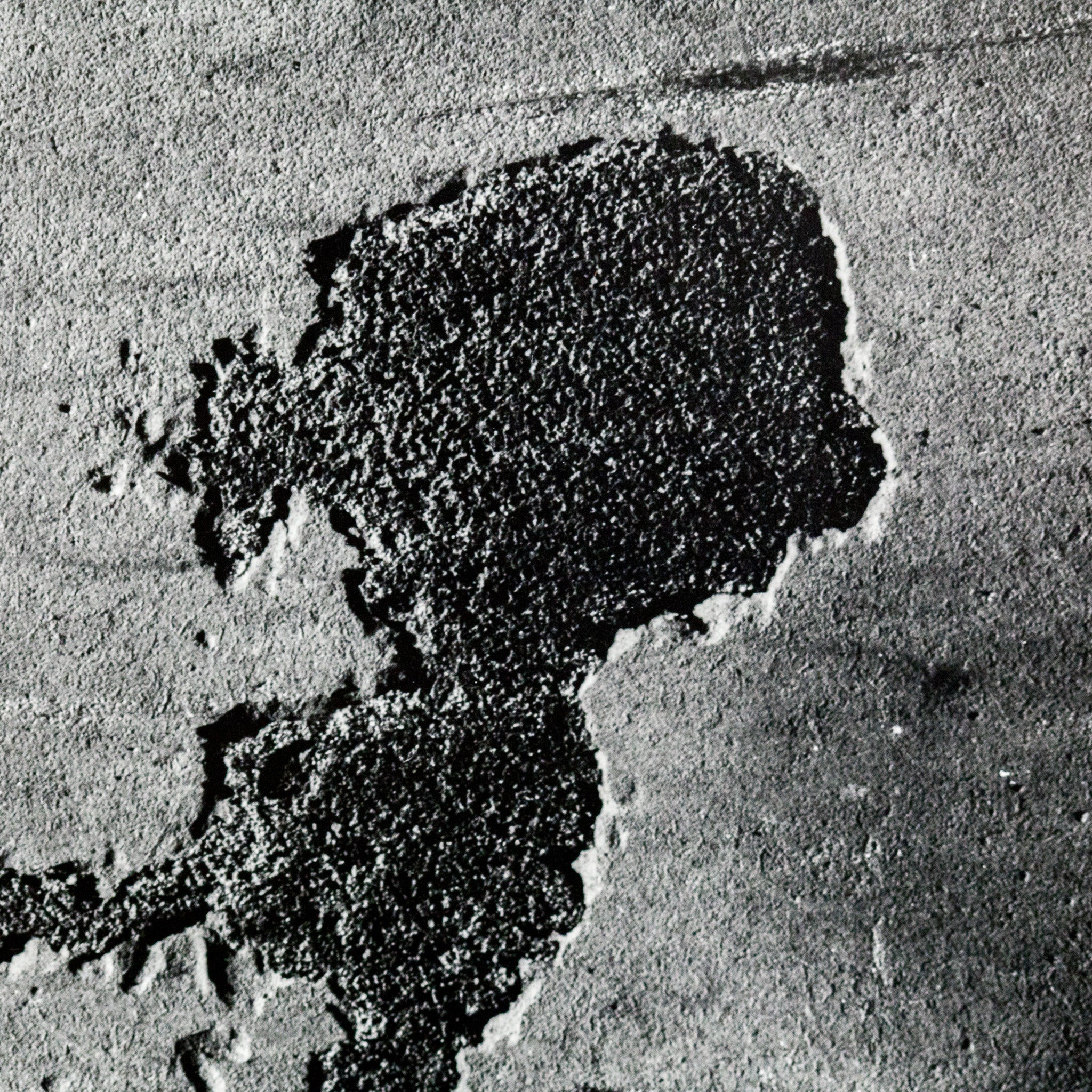 AARON SISKIND "CHICAGO 48" PHOTO - Image 6