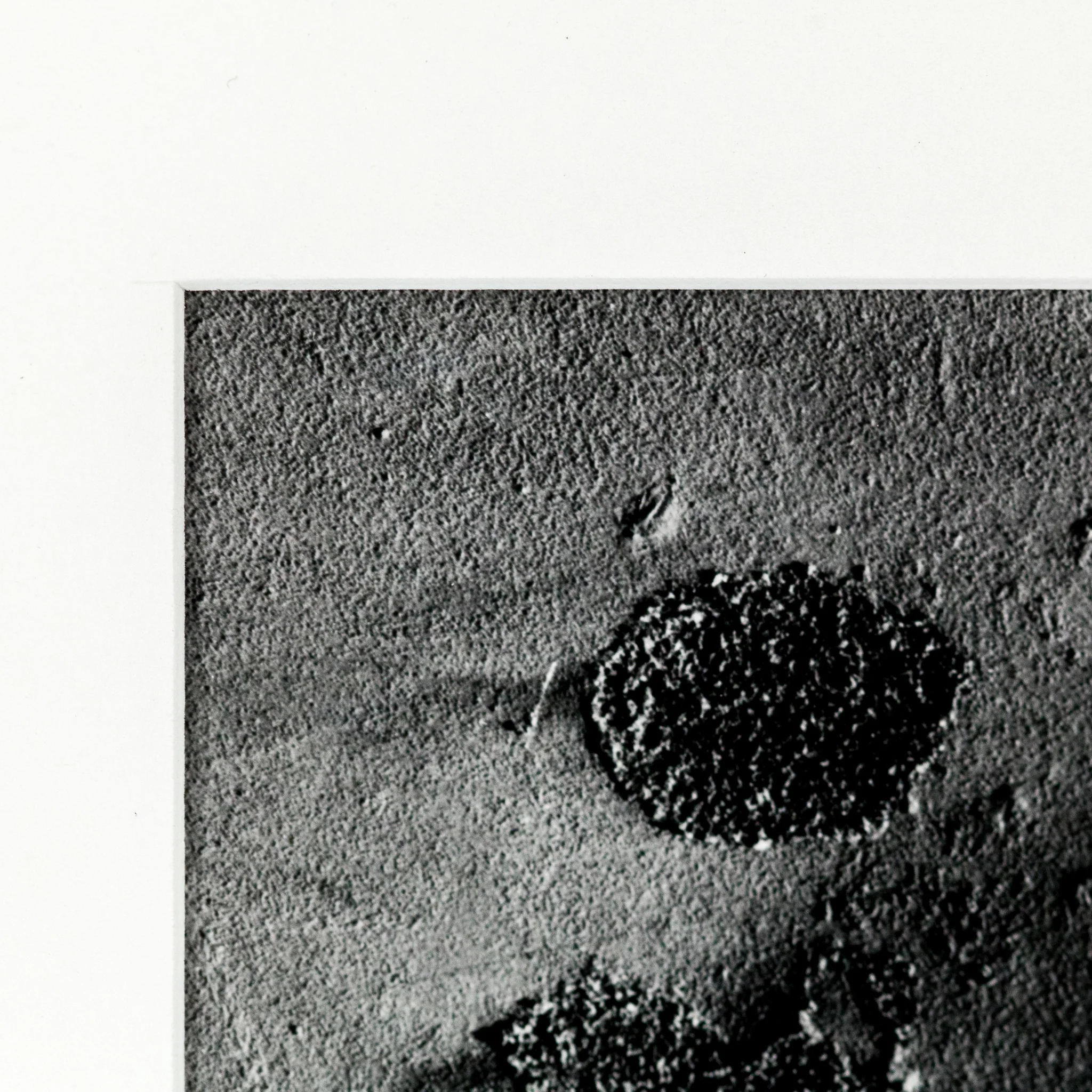 AARON SISKIND "CHICAGO 48" PHOTO - Image 7