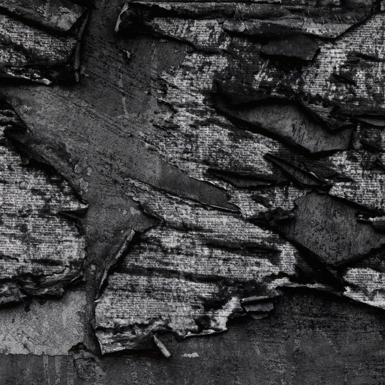 AARON SISKIND "LIMA 25" PHOTO, 1980 - Image 3