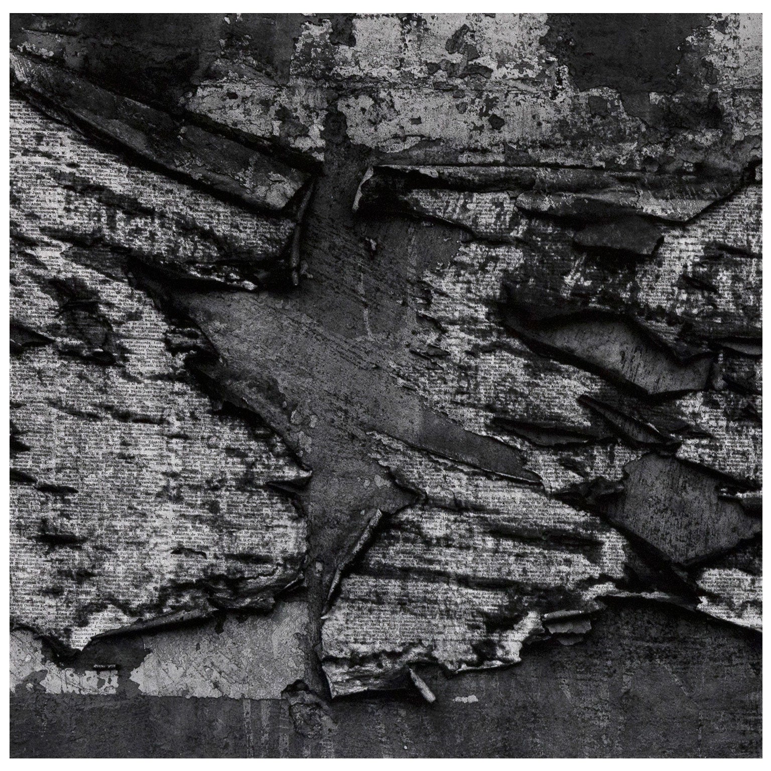 AARON SISKIND "LIMA 25" PHOTO, 1980 - Image 4