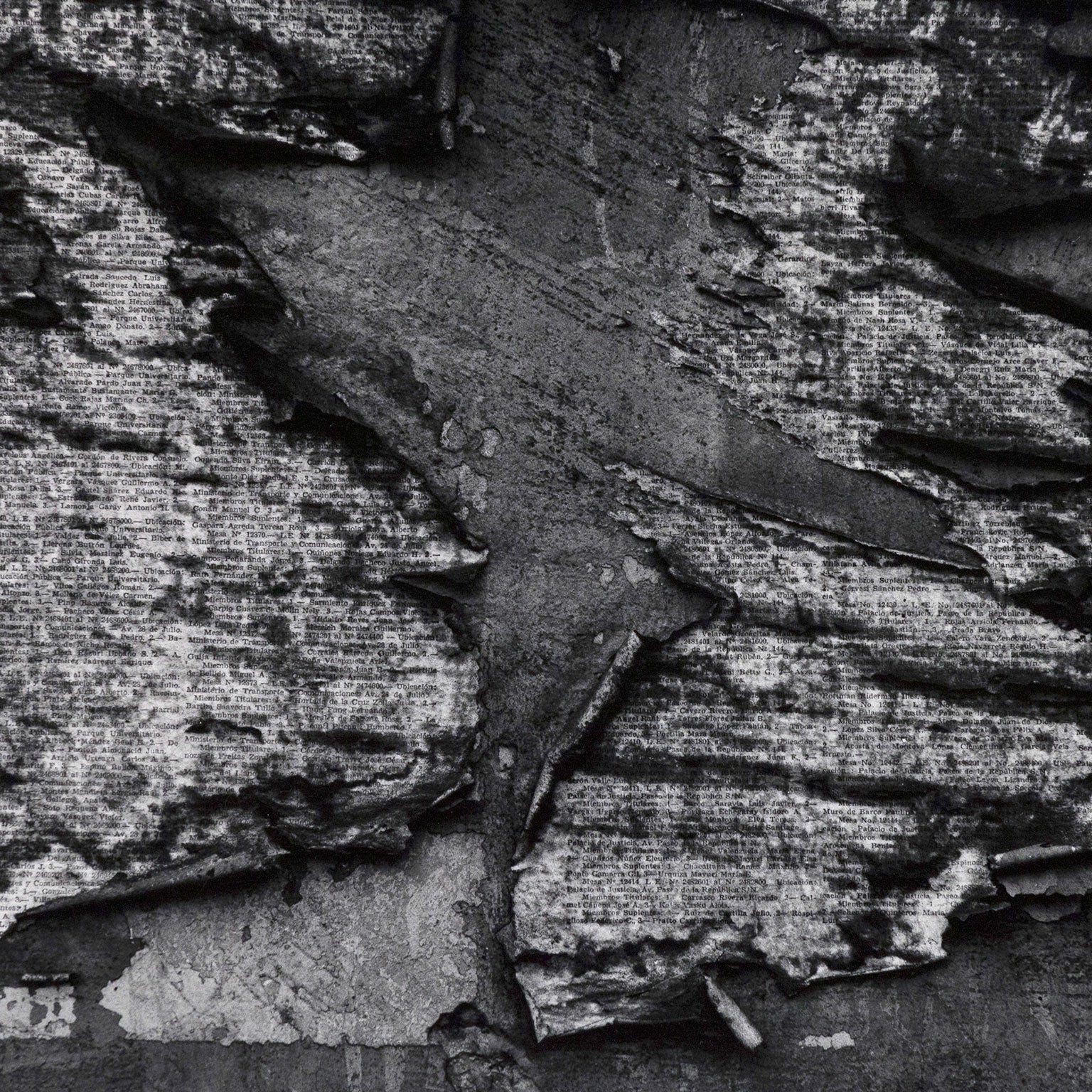 AARON SISKIND "LIMA 25" PHOTO, 1980 - Image 7