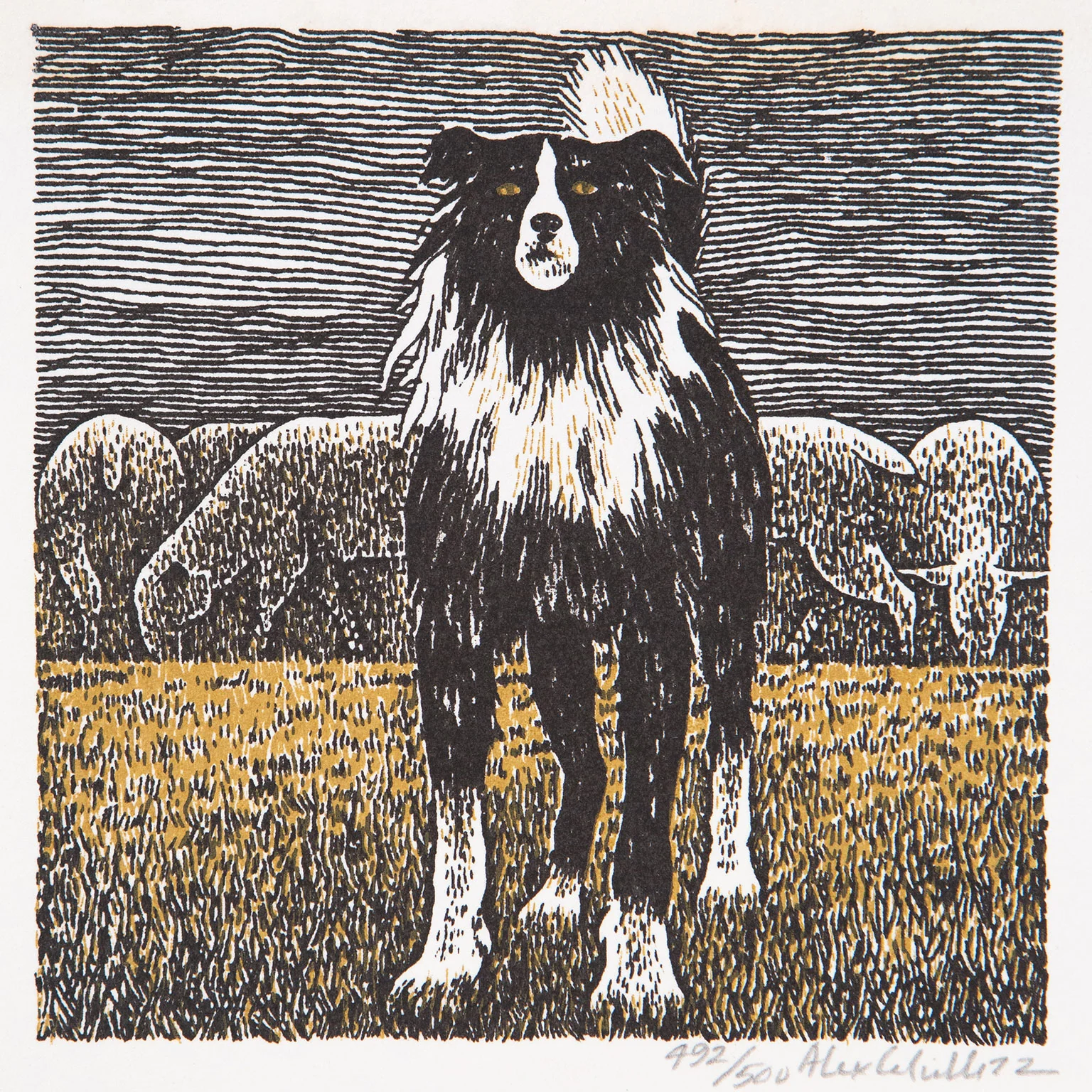 ALEX COLVILLE "BORDER COLLIE" SILKSCREEN, 1973 - Image 2