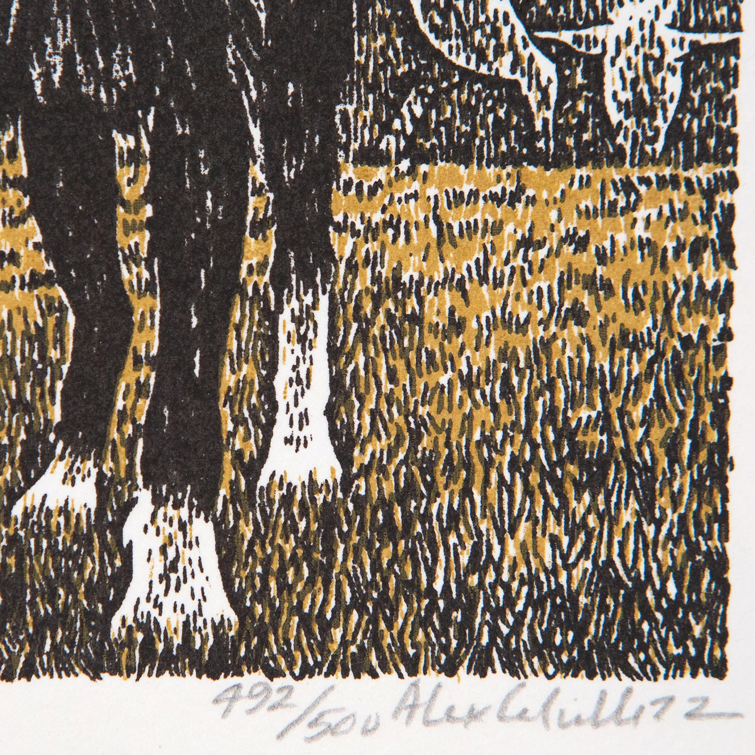 ALEX COLVILLE "BORDER COLLIE" SILKSCREEN, 1973 - Image 3