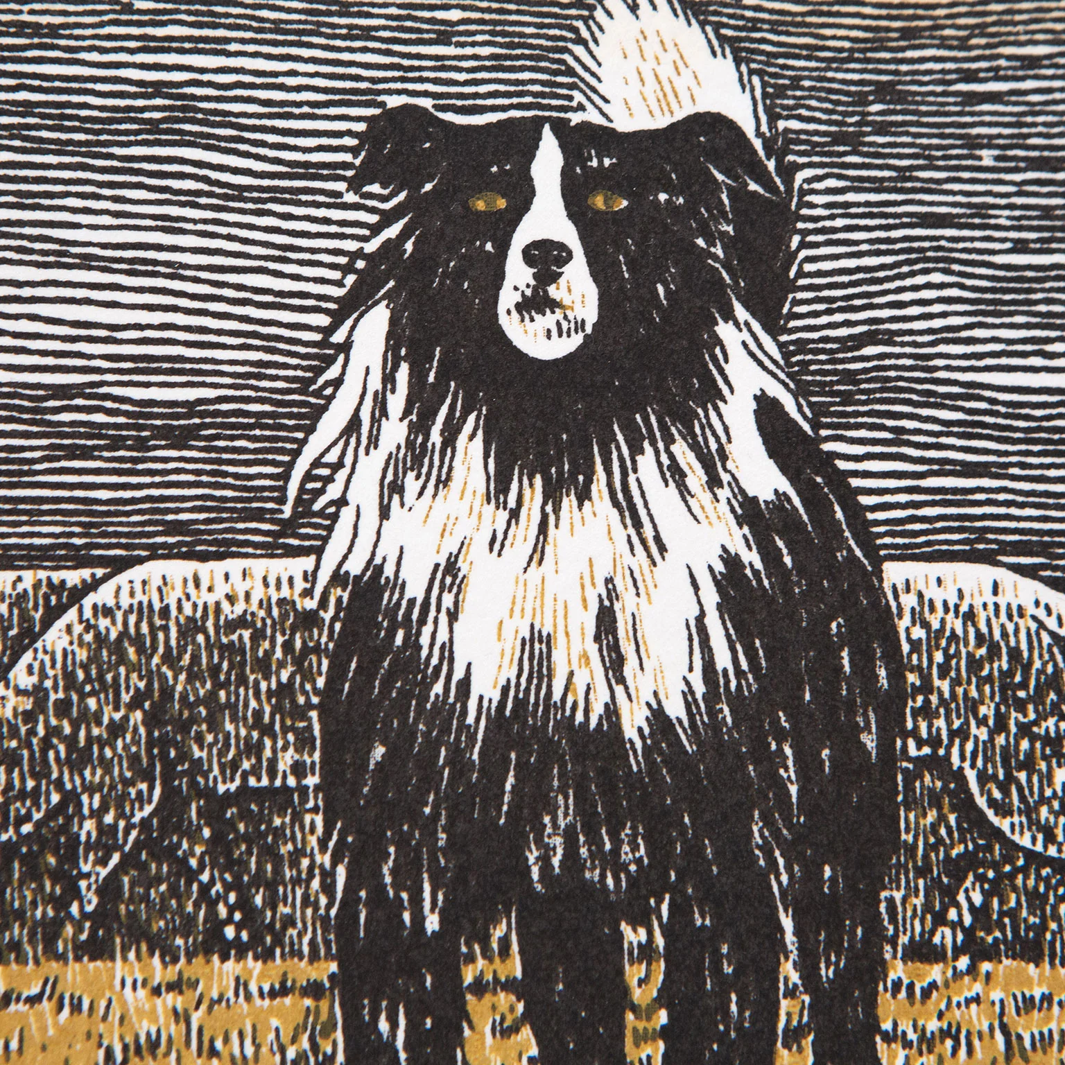 ALEX COLVILLE "BORDER COLLIE" SILKSCREEN, 1973 - Image 4