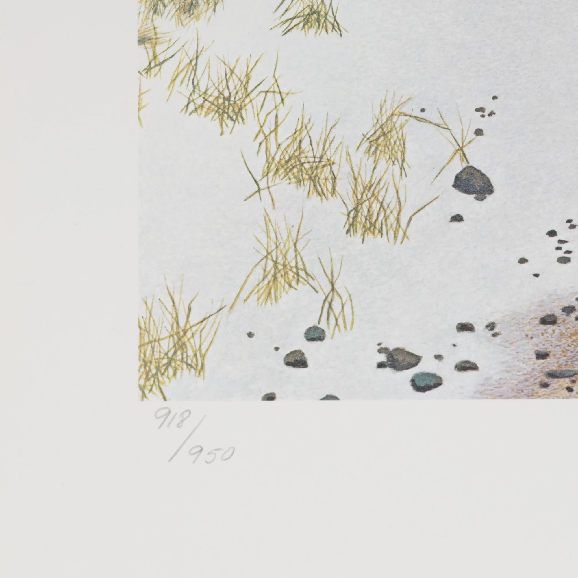 ALEX COLVILLE "TARGET SHOOTING" LITHOGRAPH - Image 11