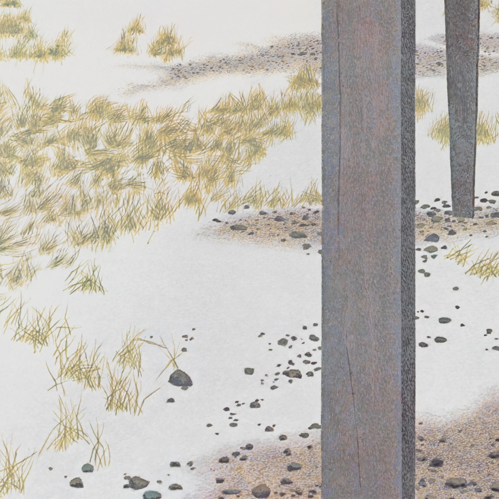 ALEX COLVILLE "TARGET SHOOTING" LITHOGRAPH - Image 9