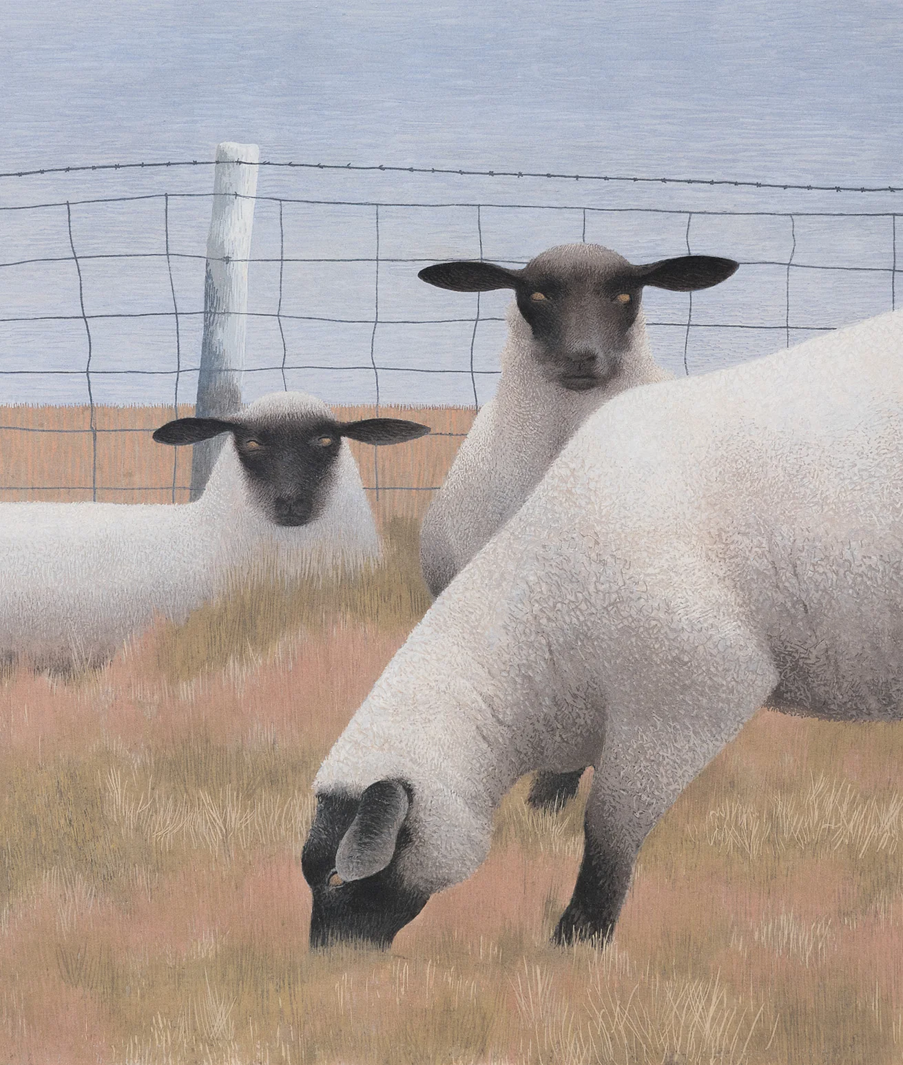 ALEX COLVILLE "THREE SHEEP" LITHOGRAPH, 1954