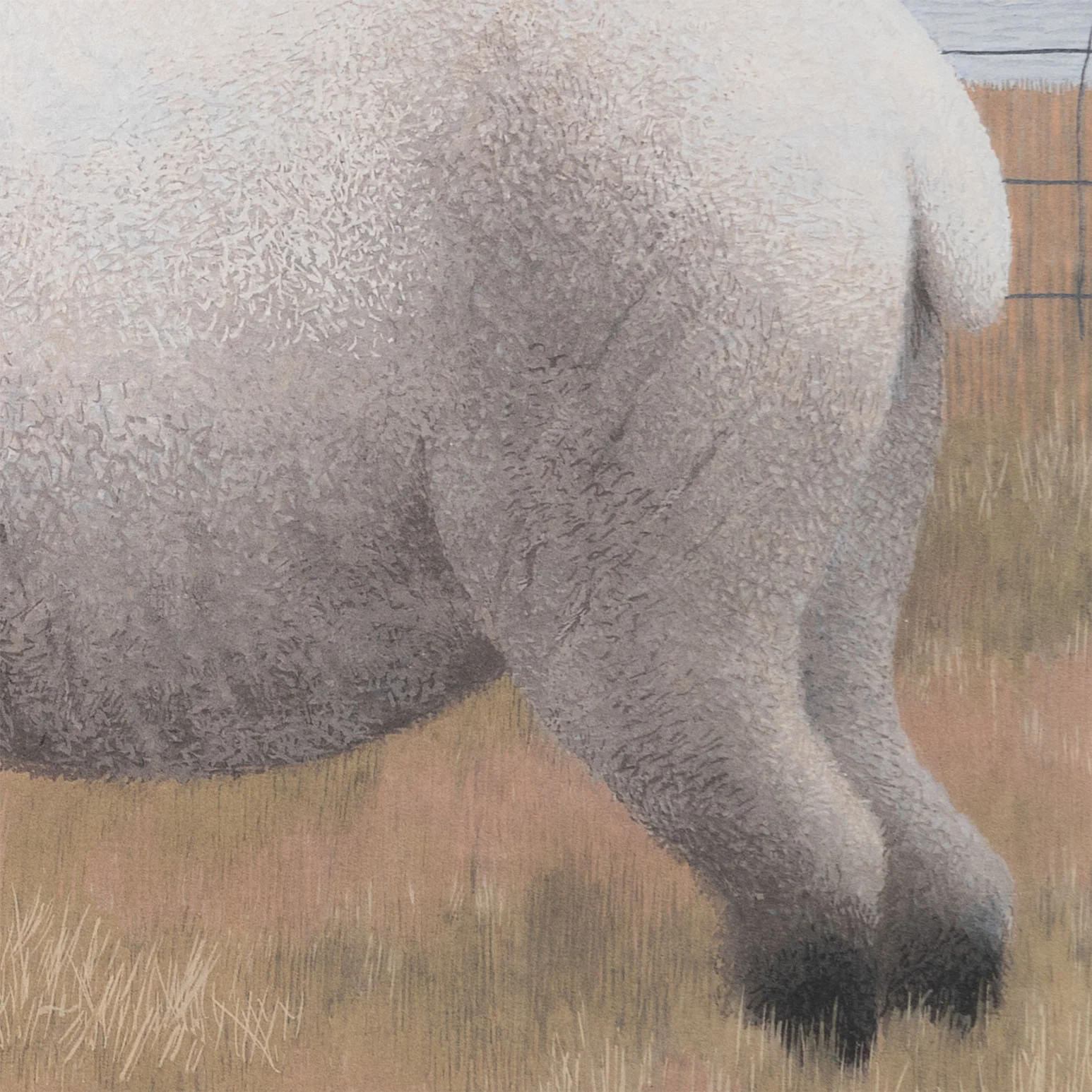 ALEX COLVILLE "THREE SHEEP" LITHOGRAPH, 1954 - Image 10