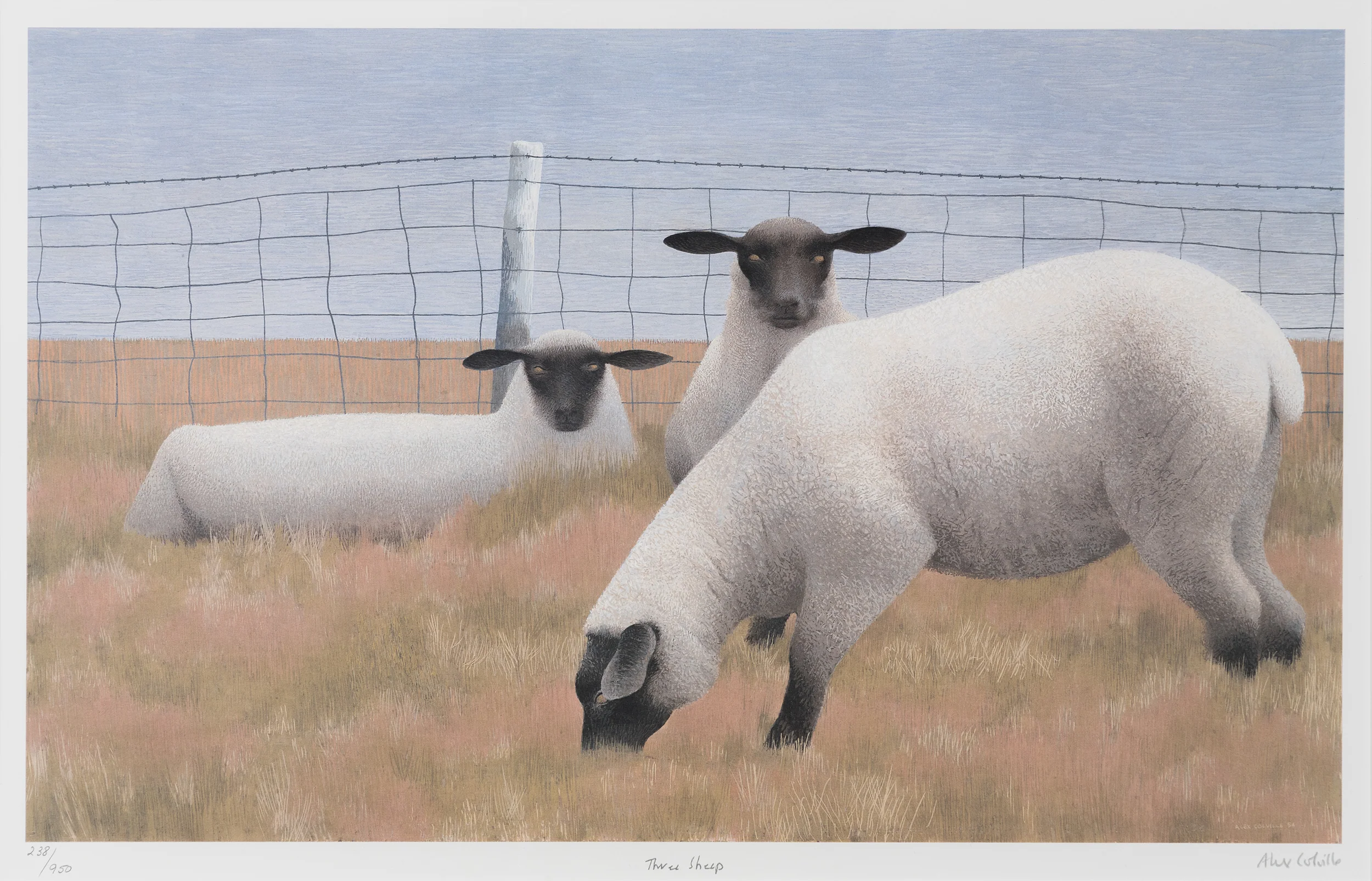 ALEX COLVILLE "THREE SHEEP" LITHOGRAPH, 1954 - Image 12