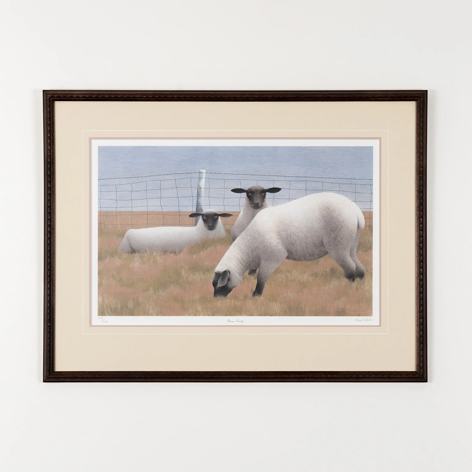 ALEX COLVILLE "THREE SHEEP" LITHOGRAPH, 1954 - Image 2