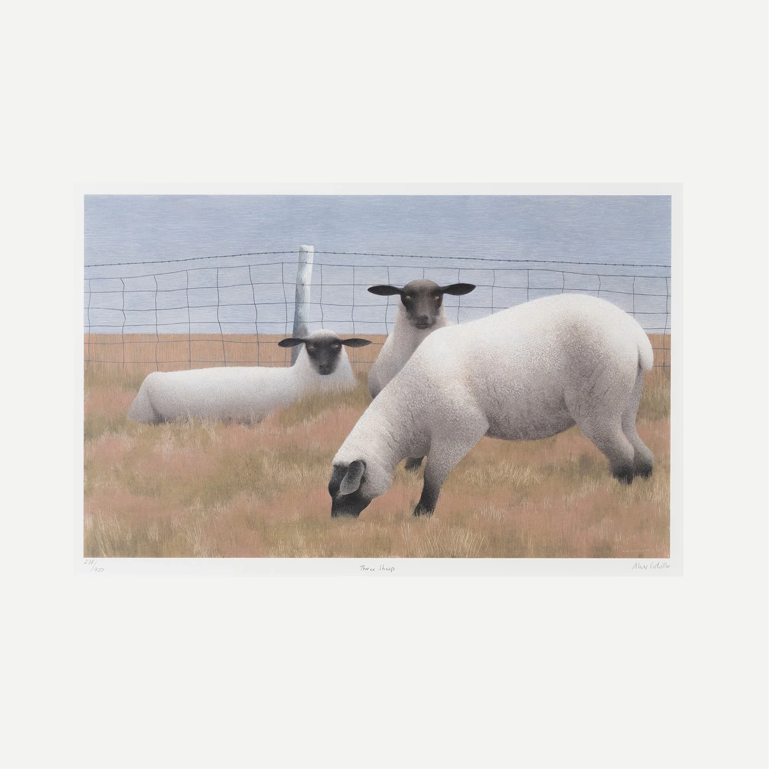 ALEX COLVILLE "THREE SHEEP" LITHOGRAPH, 1954 - Image 3