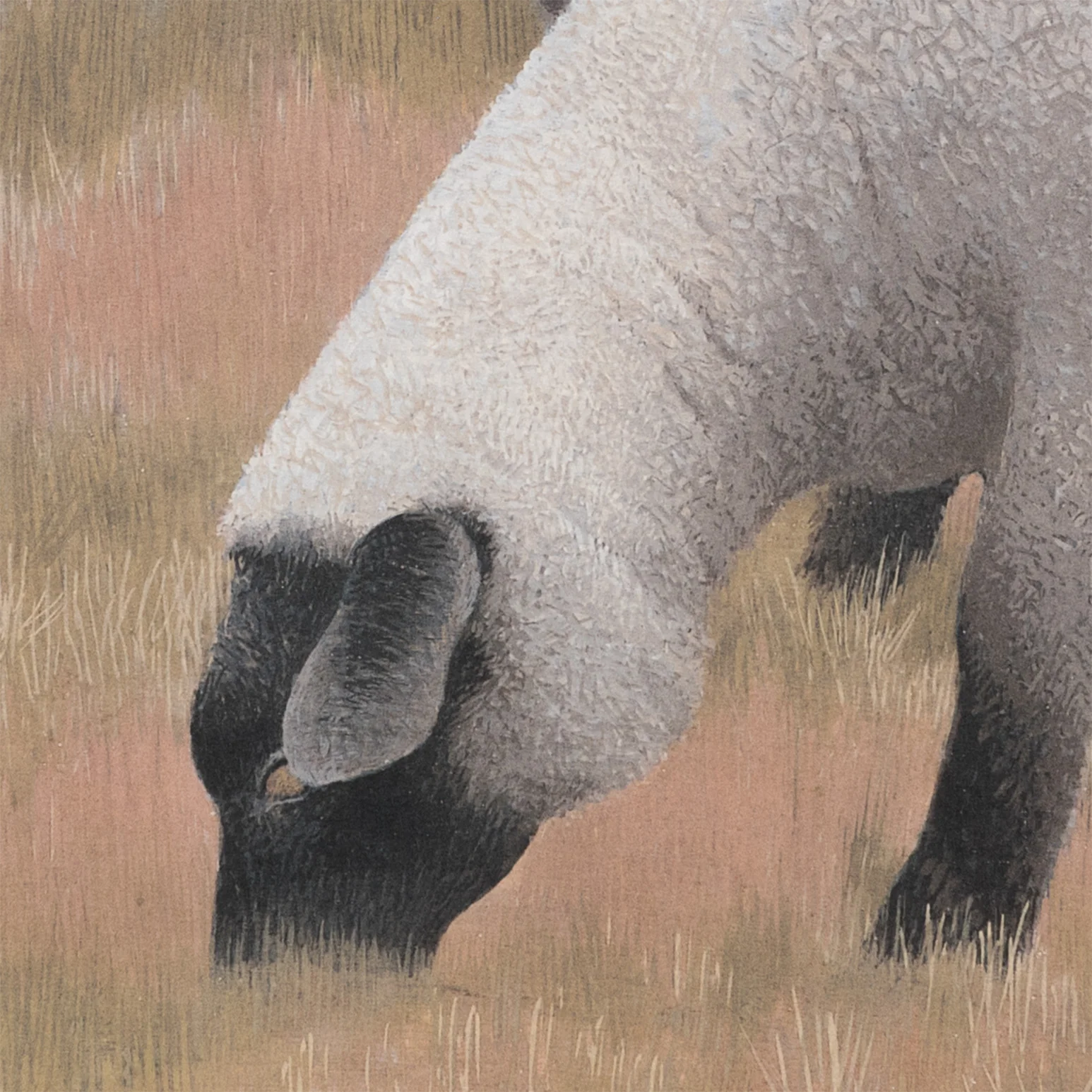 ALEX COLVILLE "THREE SHEEP" LITHOGRAPH, 1954 - Image 8