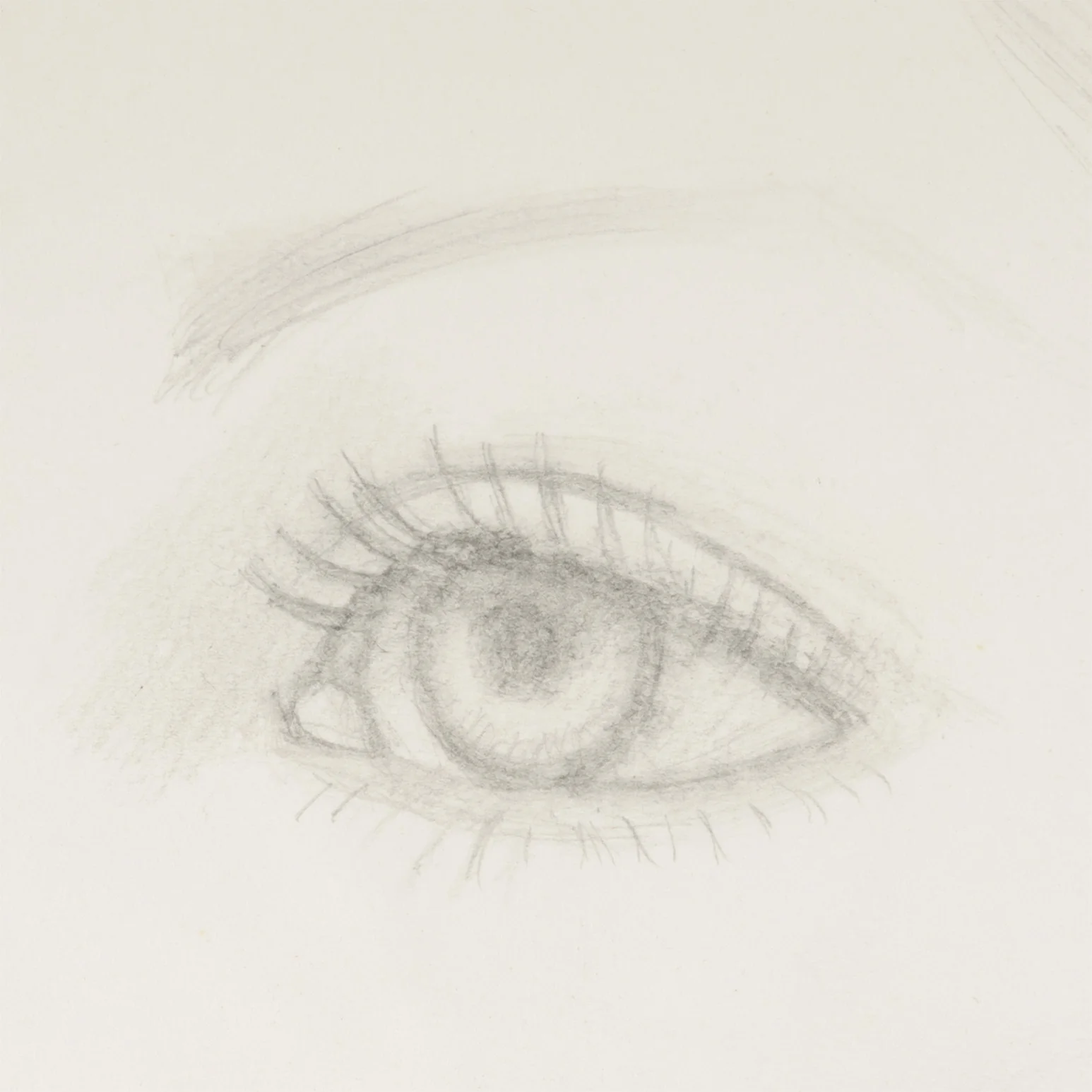 ALEX KATZ "FRANCES" DRAWING, 1977 - Image 7