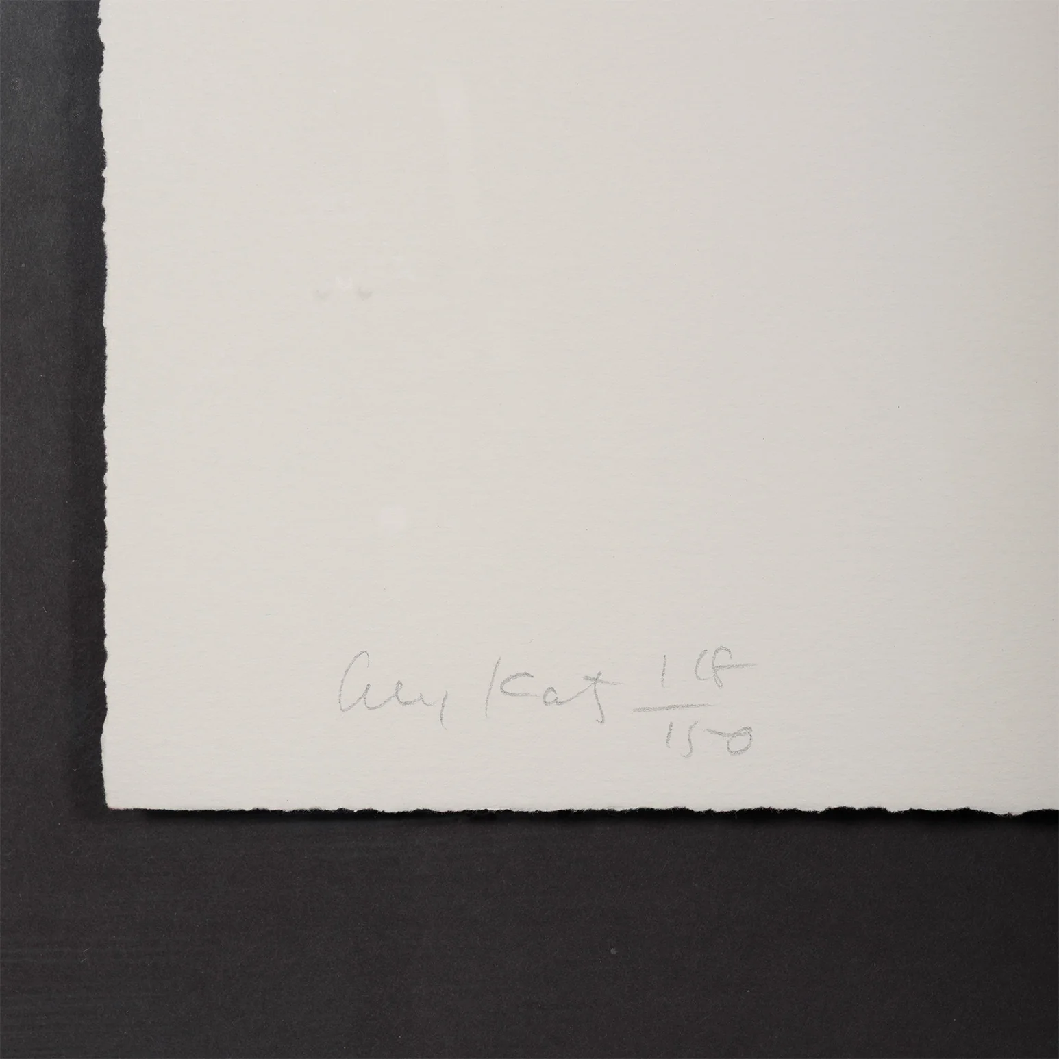 ALEX KATZ "GREEN JACKET" SCREENPRINT, 1990 - Image 5