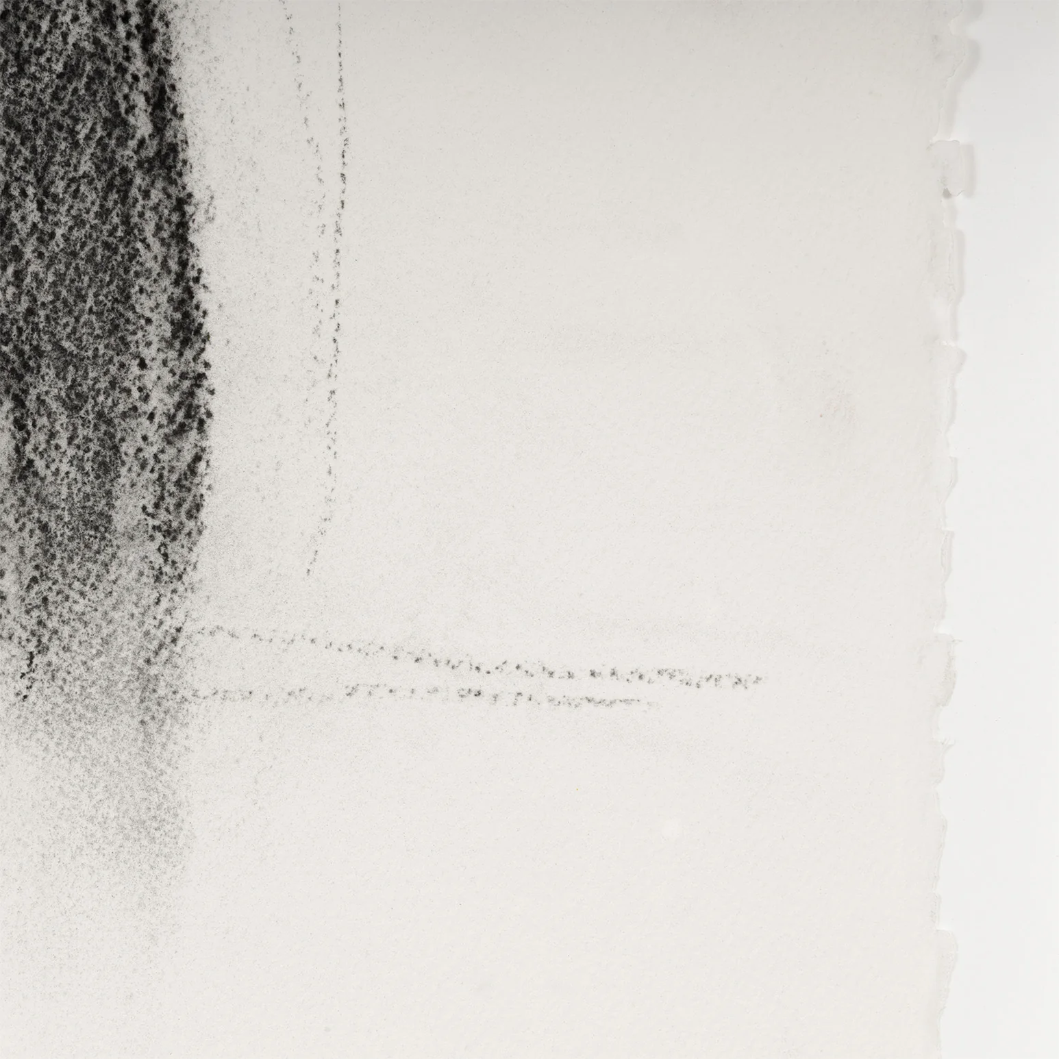 ALEX KATZ "MICHELE" CHARCOAL, 2005 - Image 11
