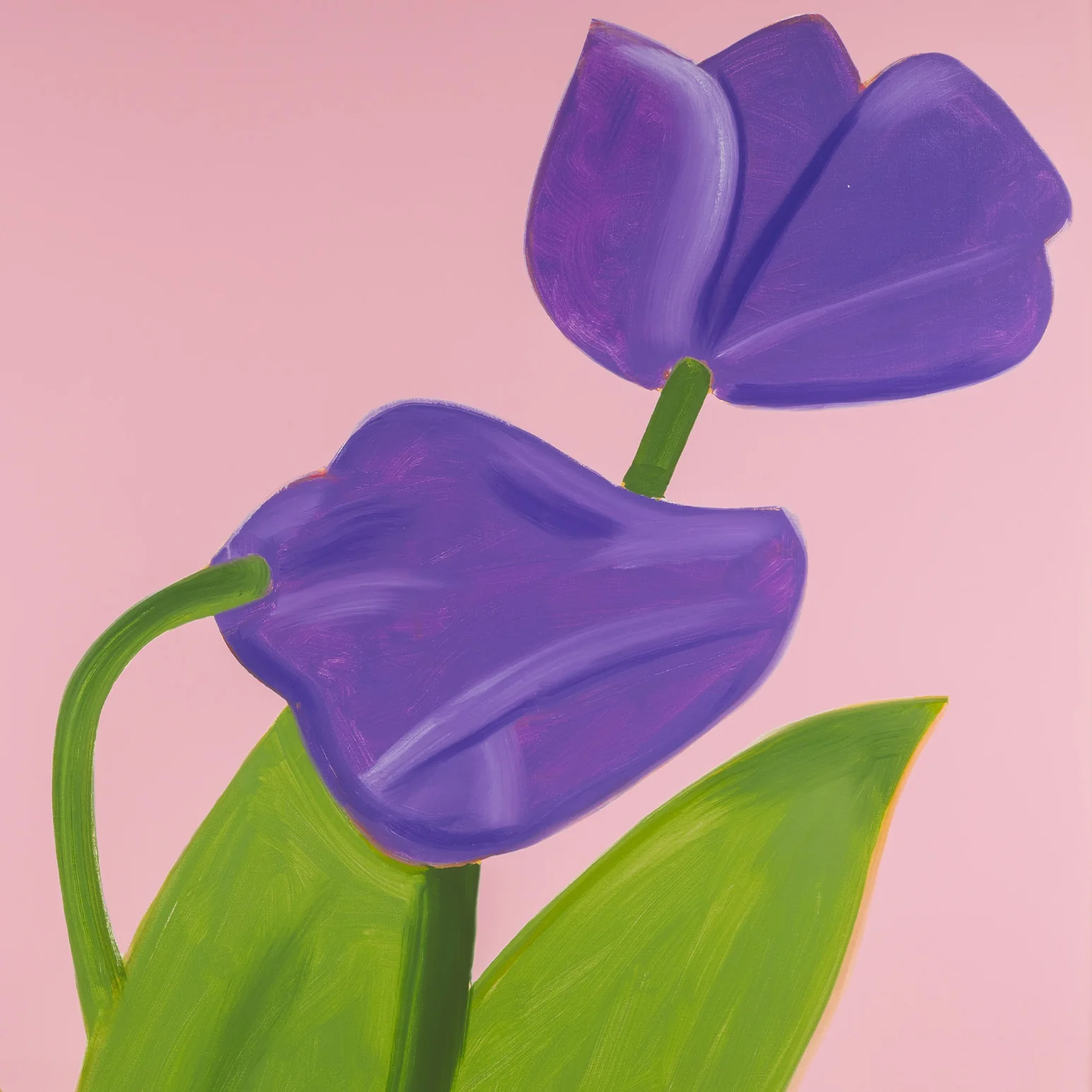 ALEX KATZ "PURPLE TULIPS 1" , 2021 - Image 5
