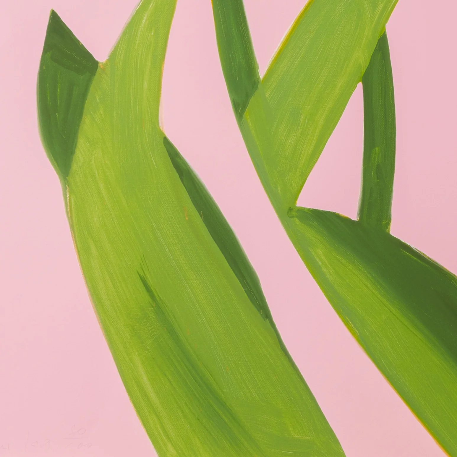 ALEX KATZ "PURPLE TULIPS 1" , 2021 - Image 8