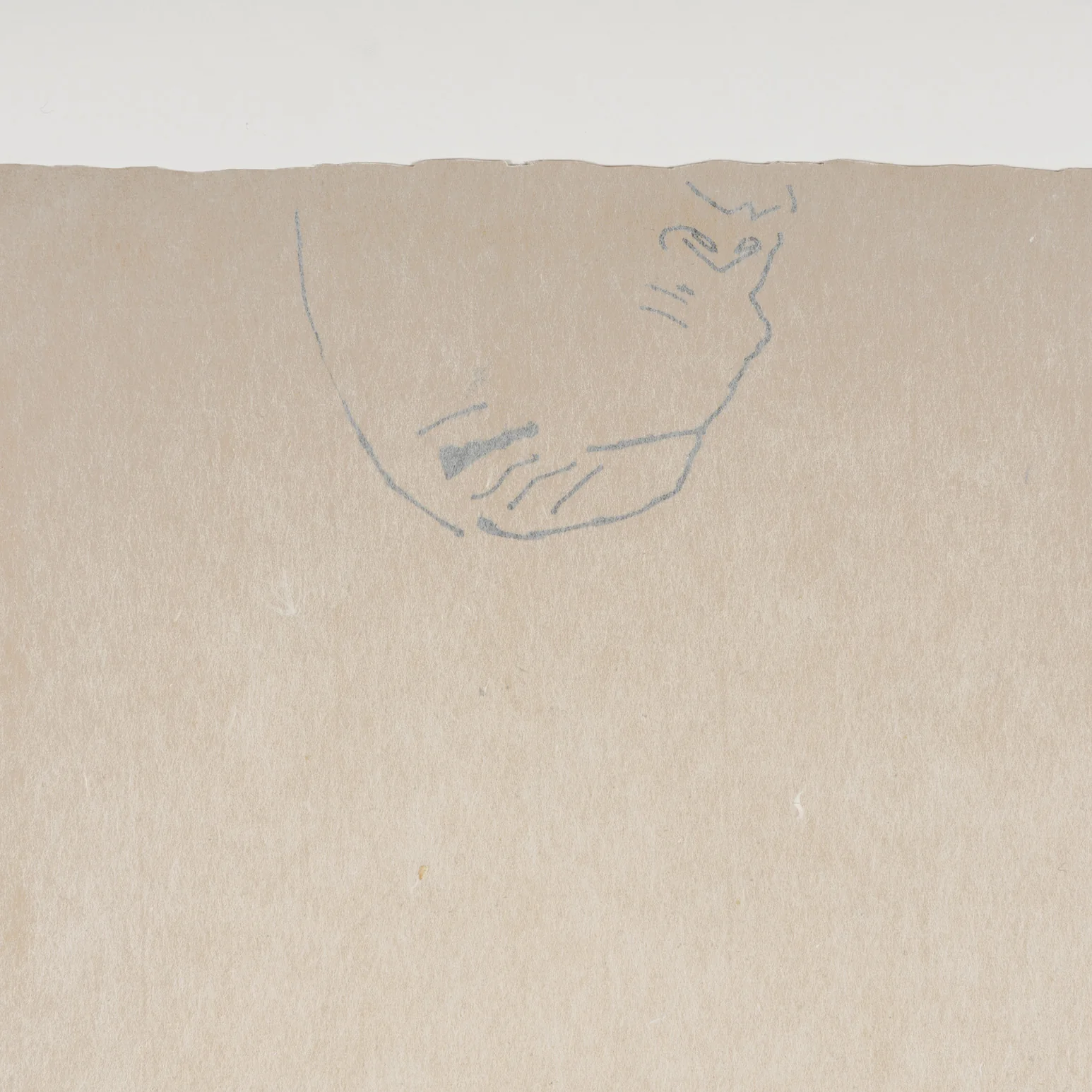 ANDY WARHOL "JOHN BUTLER SUNNING" DRAWING, 1954 - Image 10