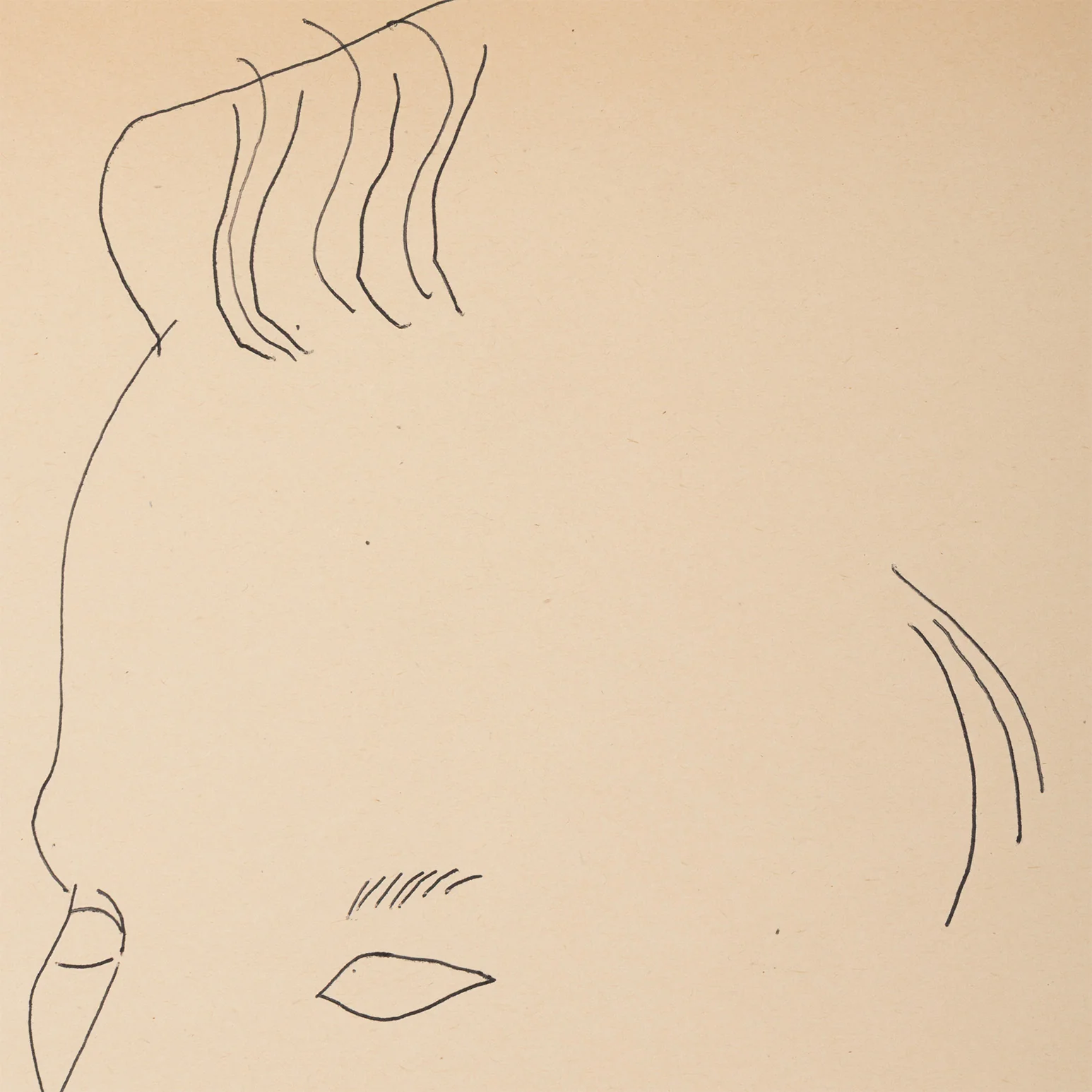 ANDY WARHOL "ALEXANDER WITH FLOWER XL" DRAWING, 1955 - Image 8