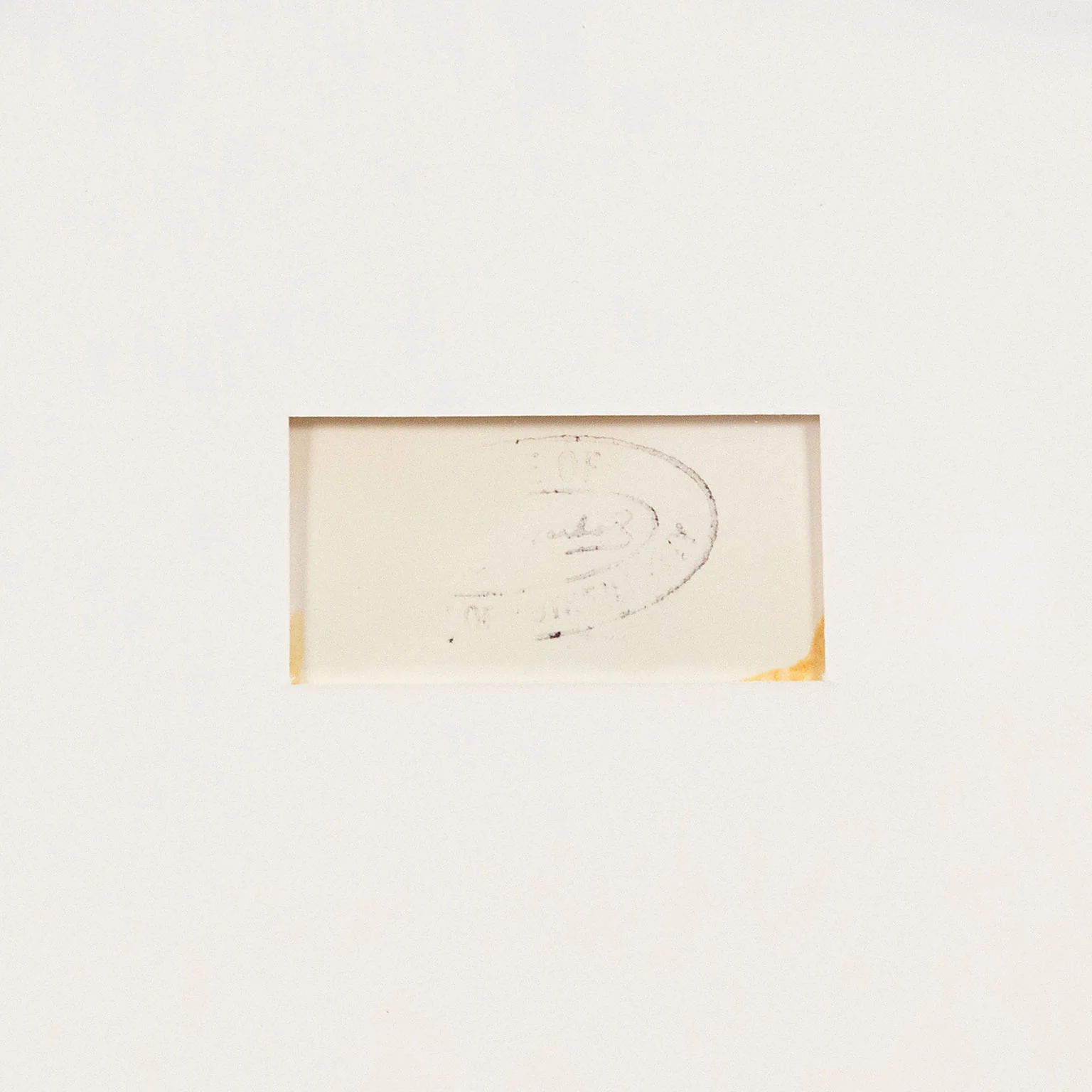 ANDY WARHOL "ONE PISTOL" POLAROID, 1981 - Image 6