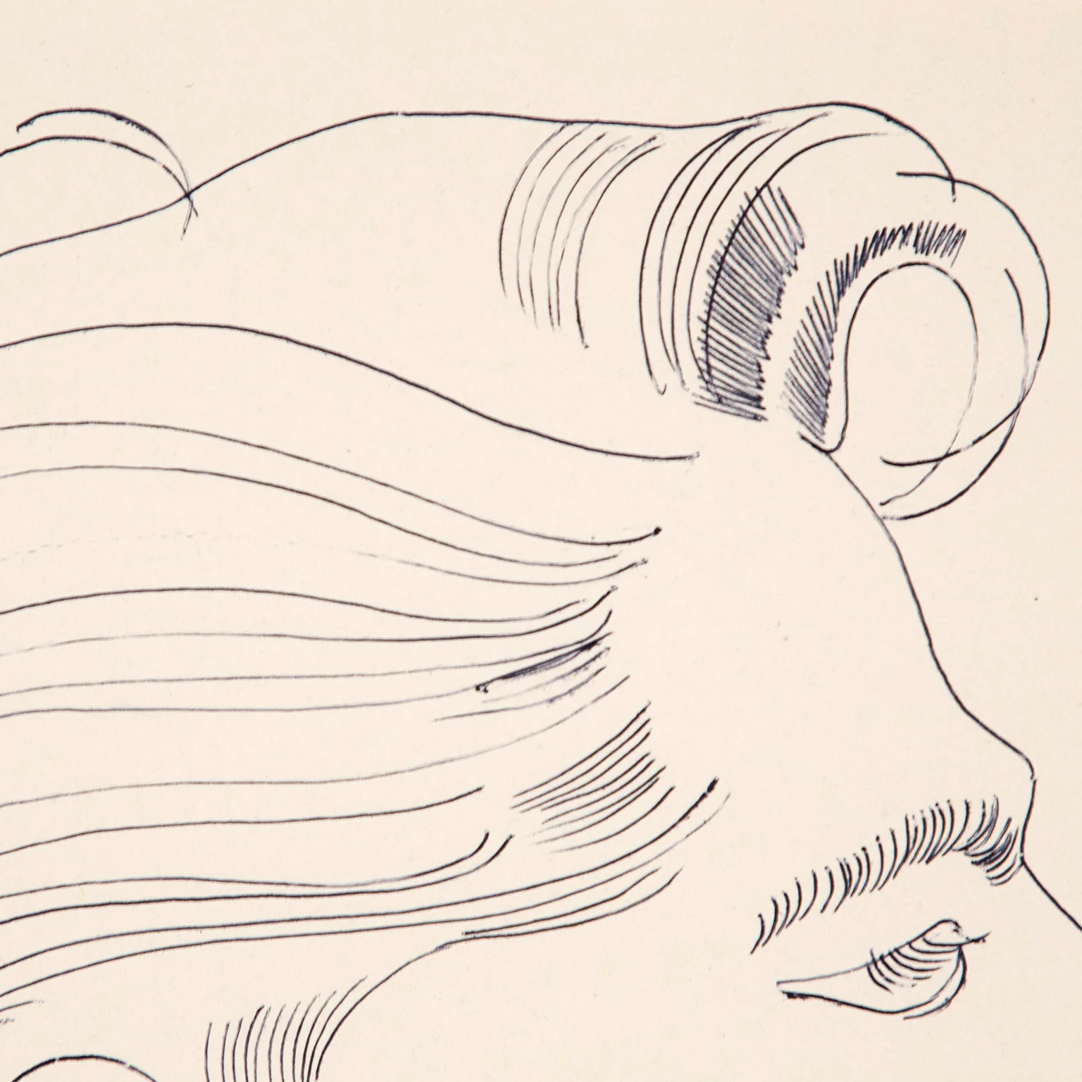 ANDY WARHOL "PROFILE OF A MAN (TONY)" DRAWING, 1950s - Image 9