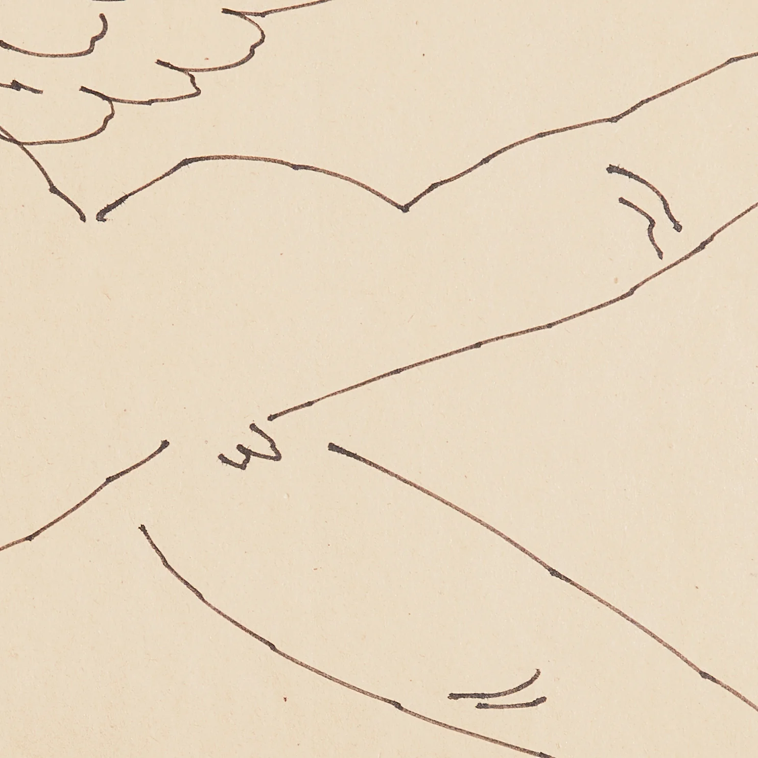ANDY WARHOL "WINGED PUTTI" DRAWING, 1955 - Image 7