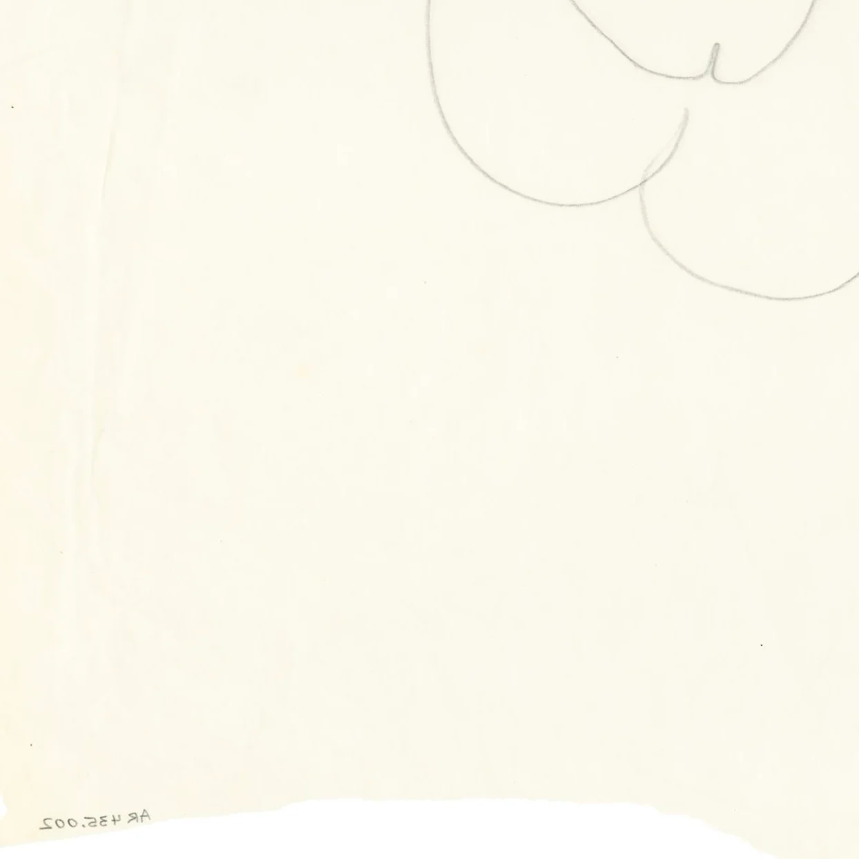 ANDY WARHOL "THE CROWN JEWELS" DRAWING, 1956 - Image 5