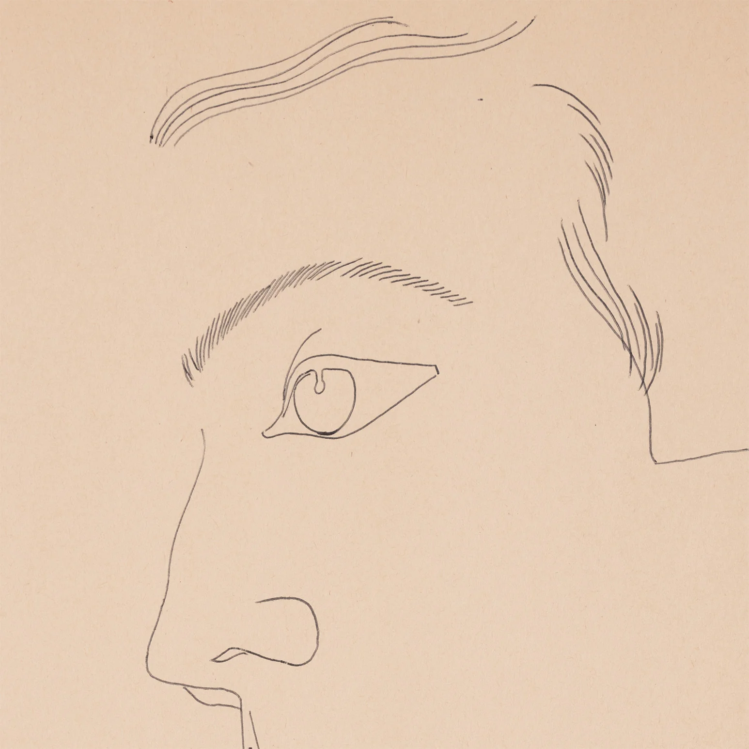 ANDY WARHOL "YOUNG MAN WITH SMALL FLOWER" DRAWING, c. 1955 - Image 5
