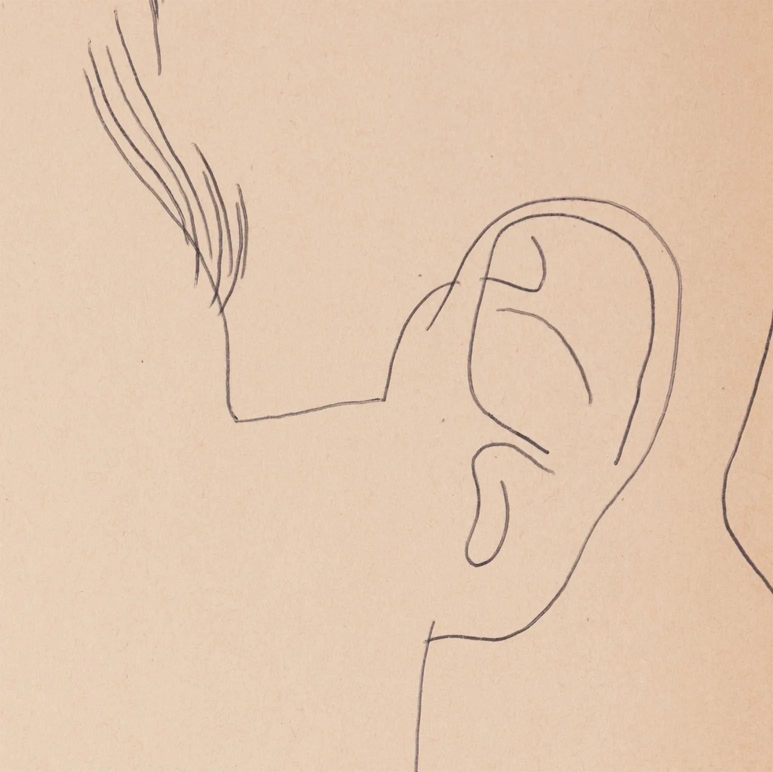 ANDY WARHOL "YOUNG MAN WITH SMALL FLOWER" DRAWING, c. 1955 - Image 7
