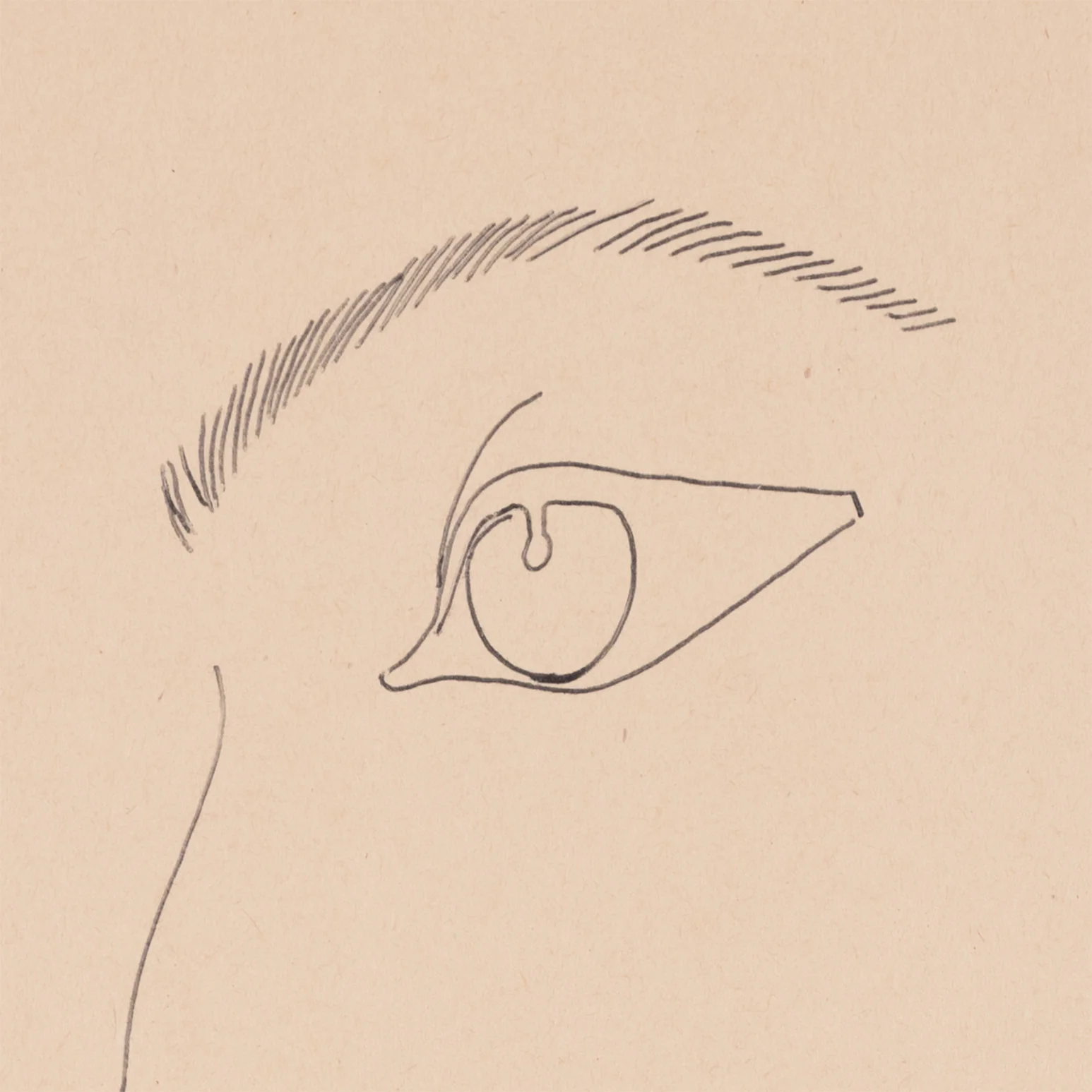 ANDY WARHOL "YOUNG MAN WITH SMALL FLOWER" DRAWING, c. 1955 - Image 8