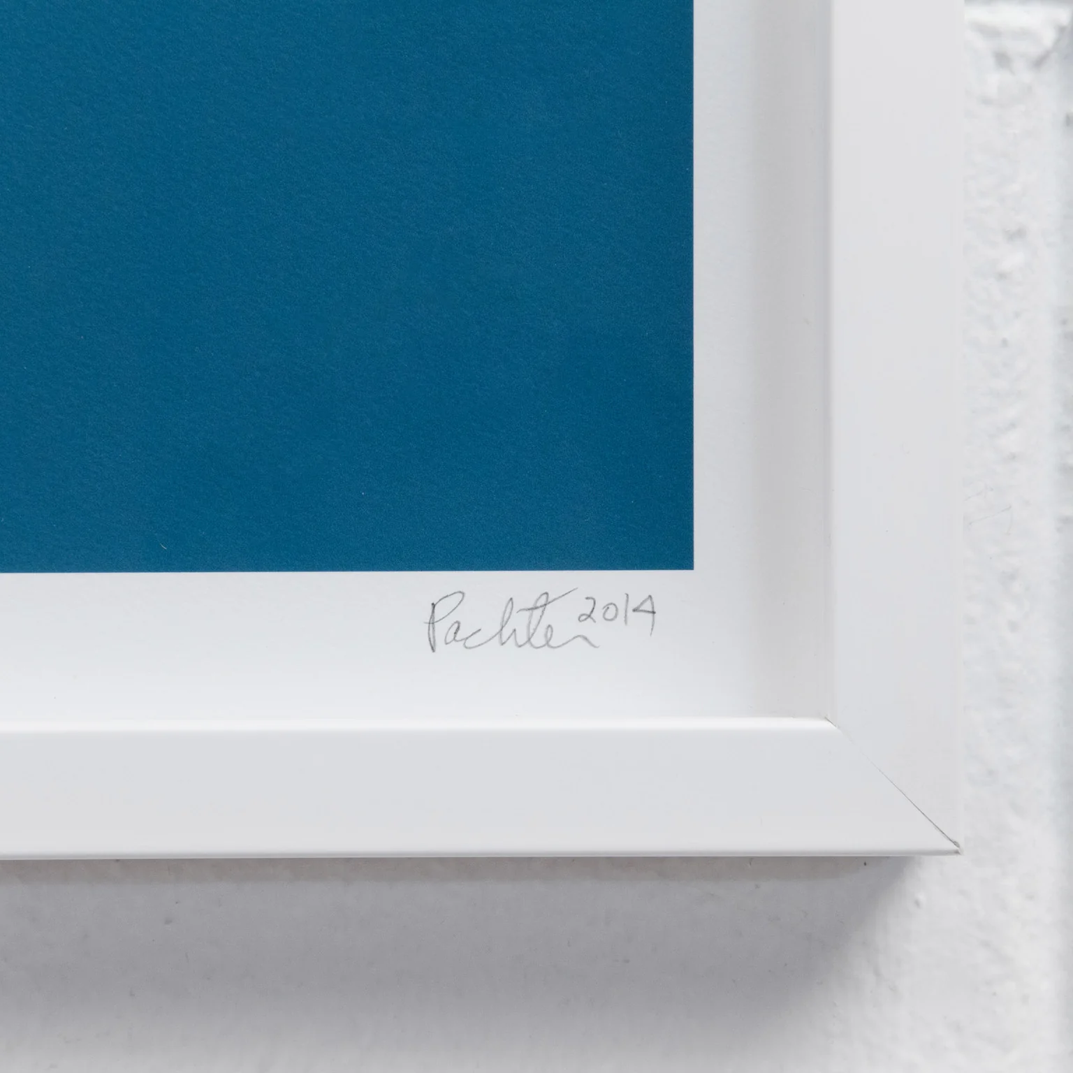 CHARLES PACHTER "AIRBORNE" 2014 - Image 3