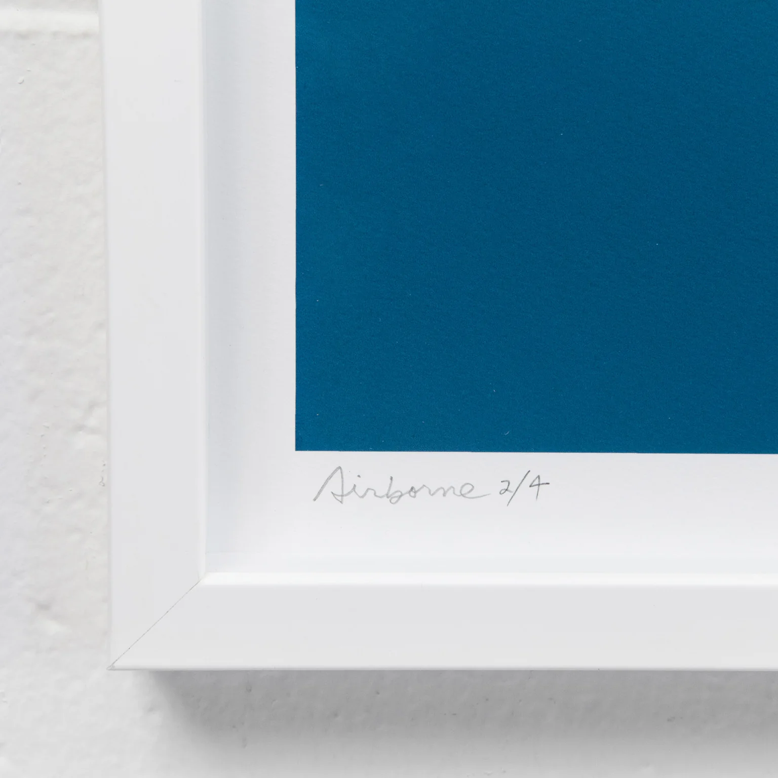 CHARLES PACHTER "AIRBORNE" 2014 - Image 6