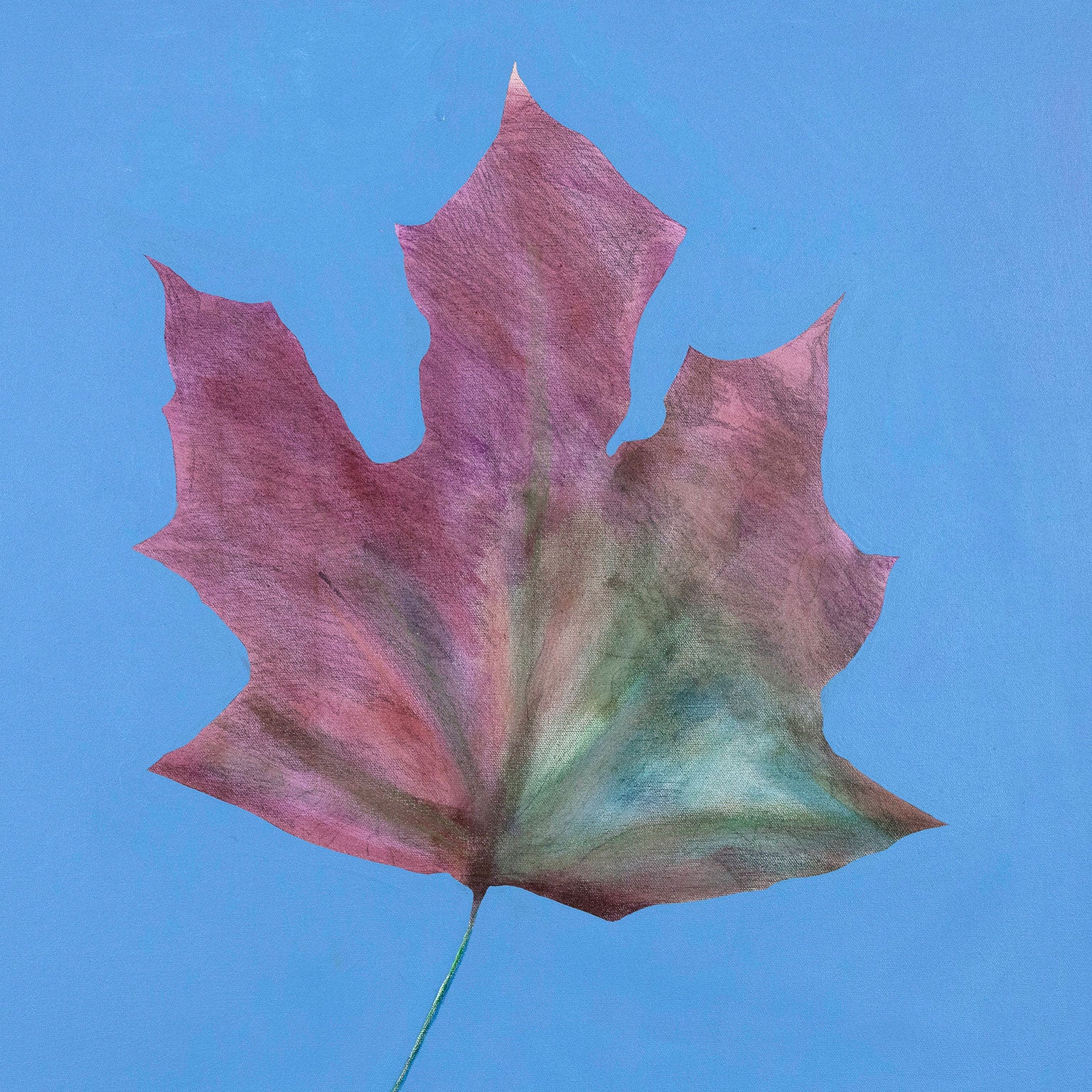 CHARLES PACHTER "BE LEAF ME" PAINTING, 2016 - Image 4