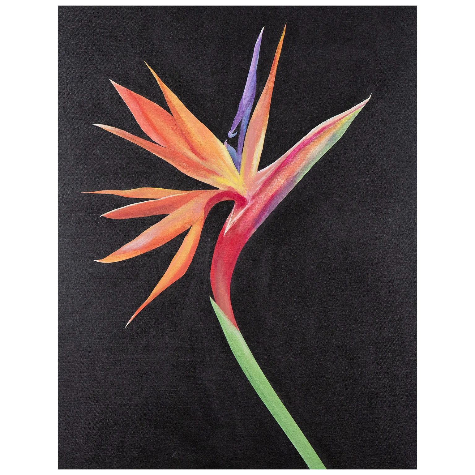 CHARLES PACHTER "BIRD OF PARADISE" ACRYLIC ON CANVAS, 2021 - Image 3