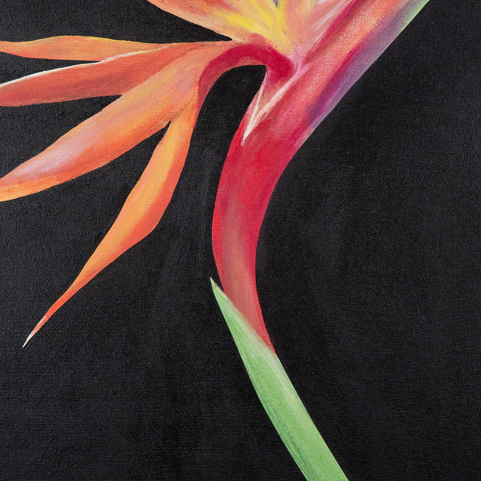 CHARLES PACHTER "BIRD OF PARADISE" ACRYLIC ON CANVAS, 2021 - Image 5