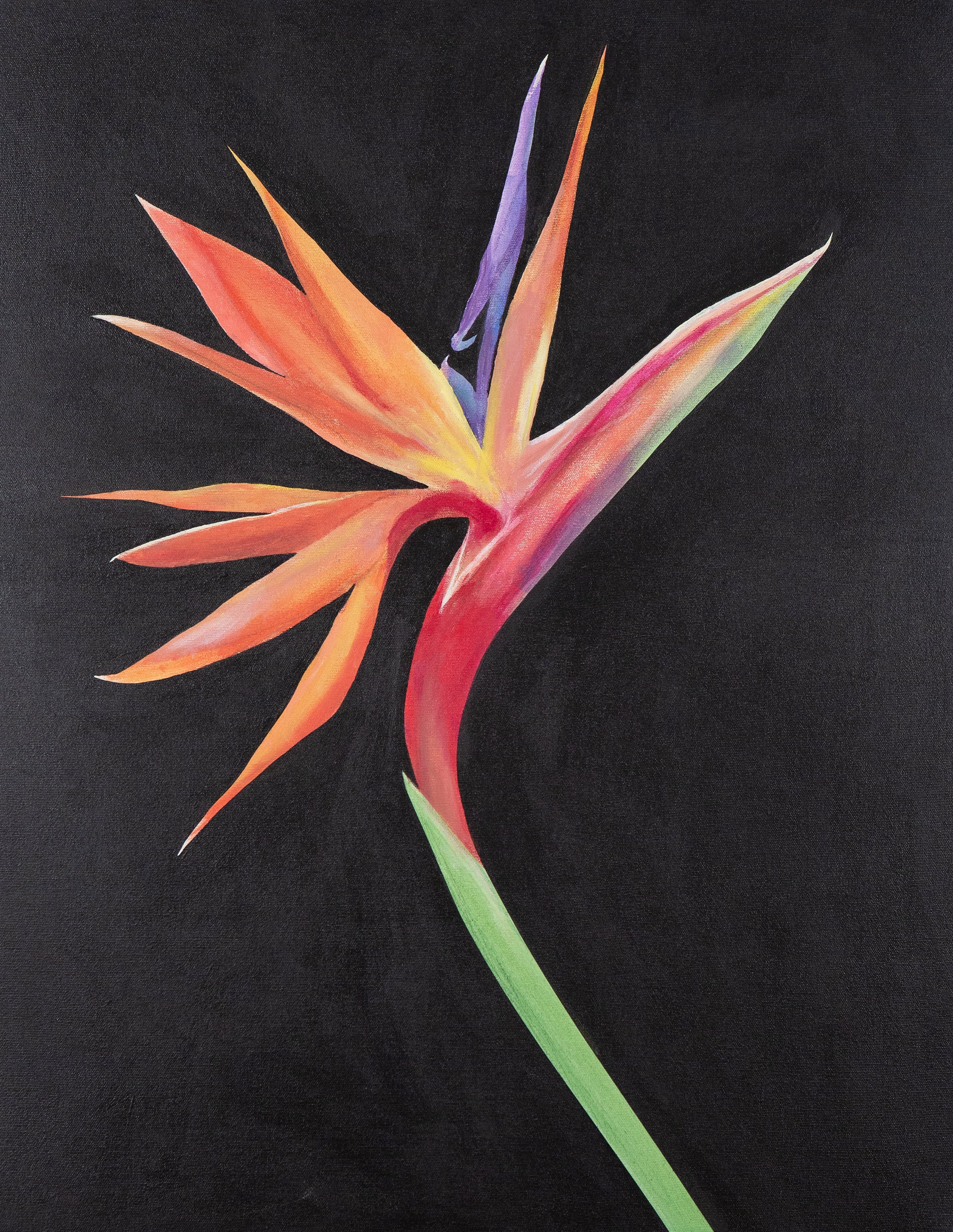 CHARLES PACHTER "BIRD OF PARADISE" ACRYLIC ON CANVAS, 2021 - Image 9