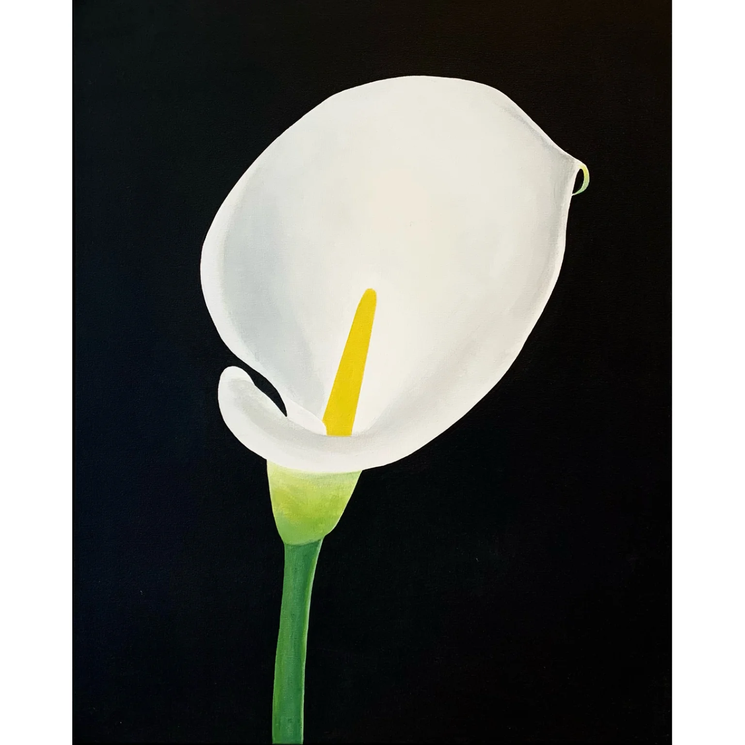 CHARLES PACHTER "CALLA LILY" ACRYLIC ON CANVAS, 2021 - Image 2