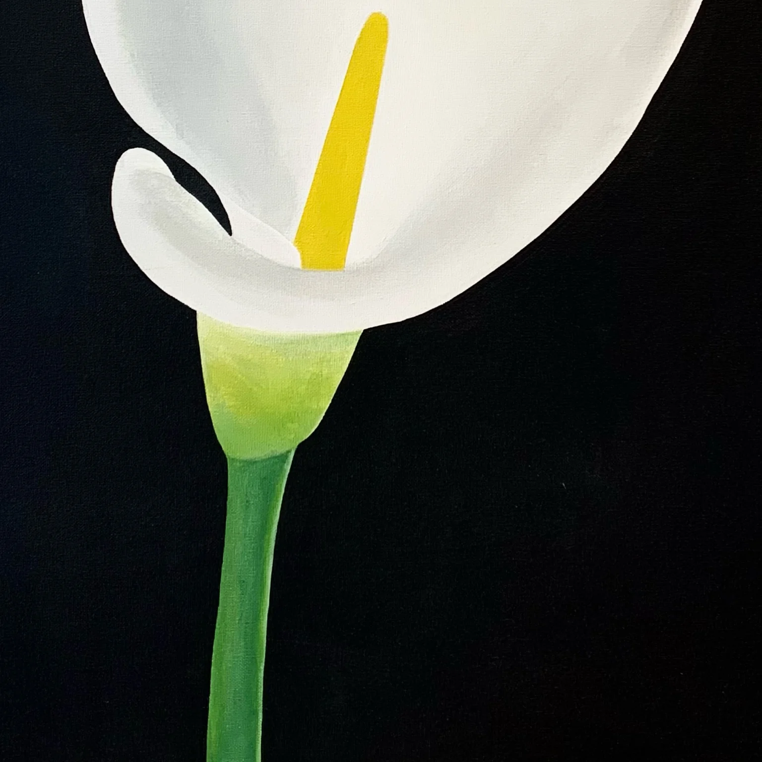 CHARLES PACHTER "CALLA LILY" ACRYLIC ON CANVAS, 2021 - Image 6