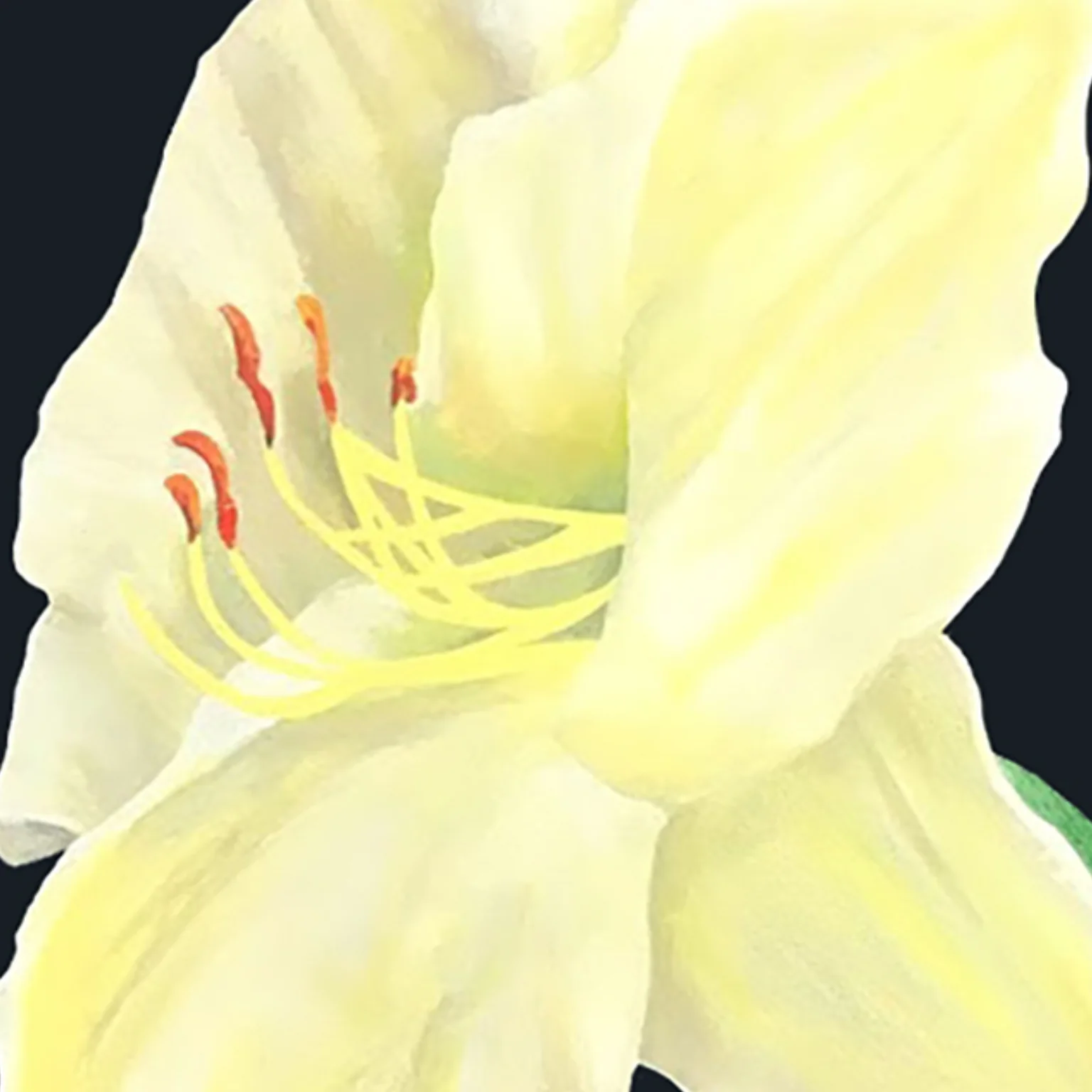 CHARLES PACHTER "DAY LILY, GRANGE PARK" ACRYLIC ON CANVAS, 2021 - Image 3