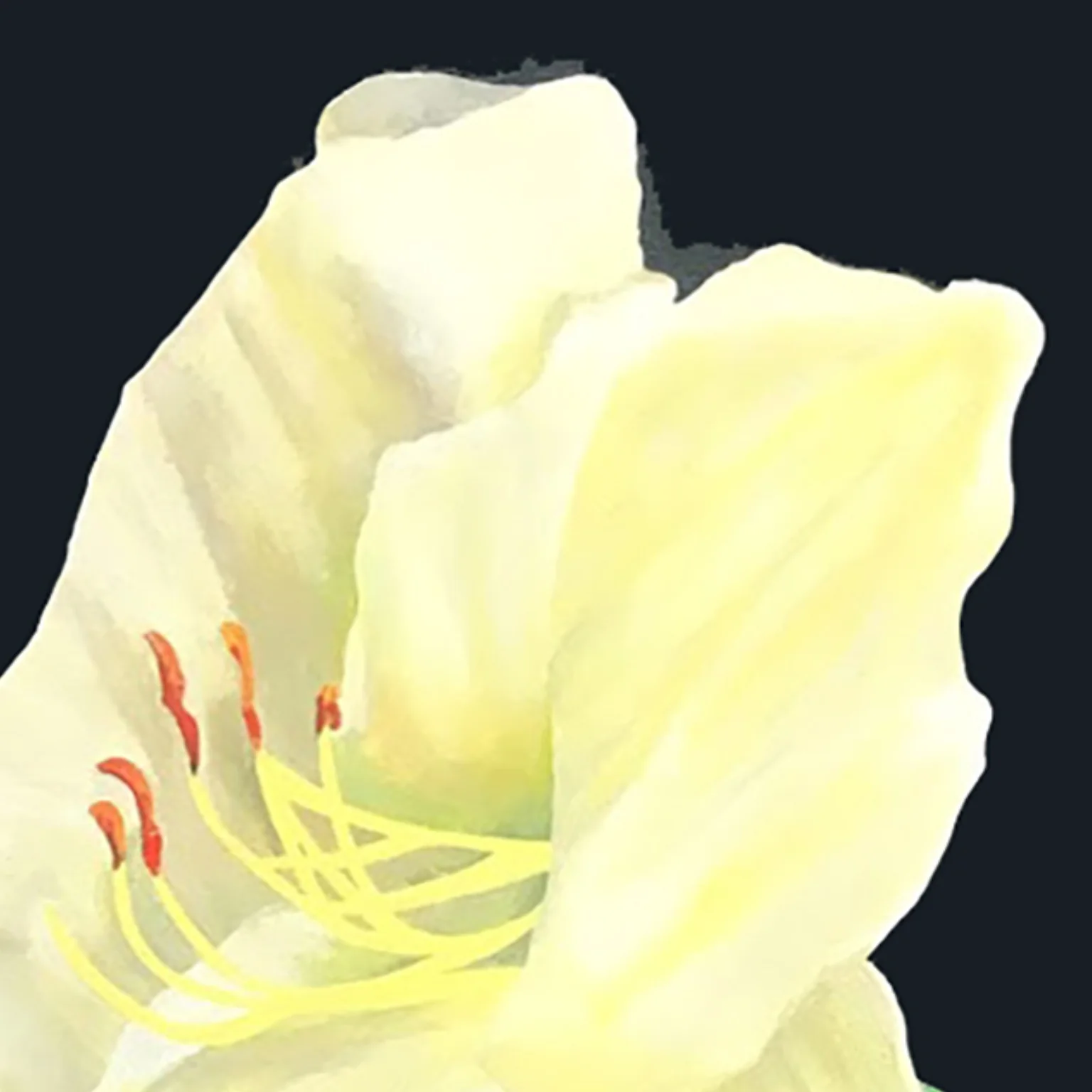 CHARLES PACHTER "DAY LILY, GRANGE PARK" ACRYLIC ON CANVAS, 2021 - Image 4