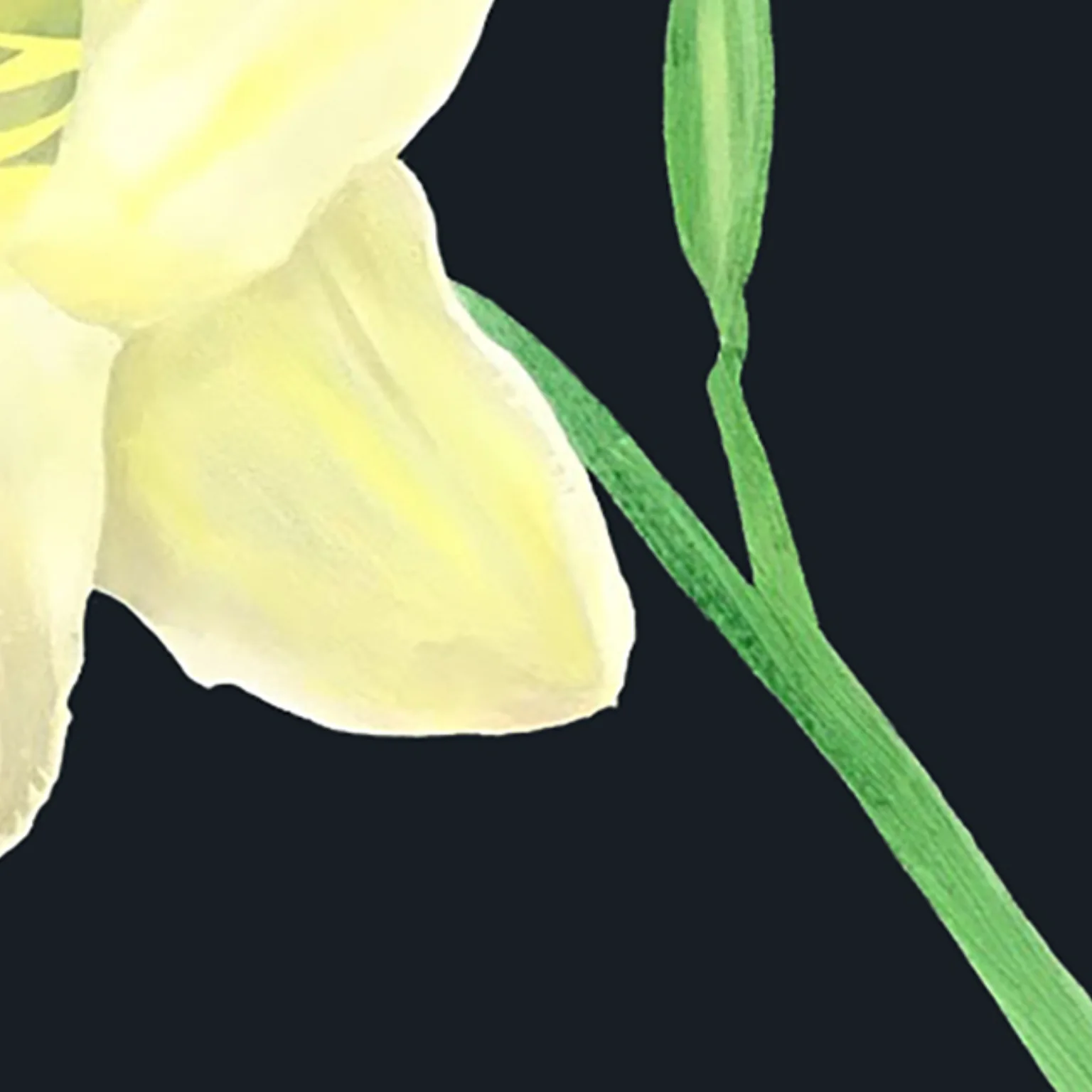 CHARLES PACHTER "DAY LILY, GRANGE PARK" ACRYLIC ON CANVAS, 2021 - Image 6