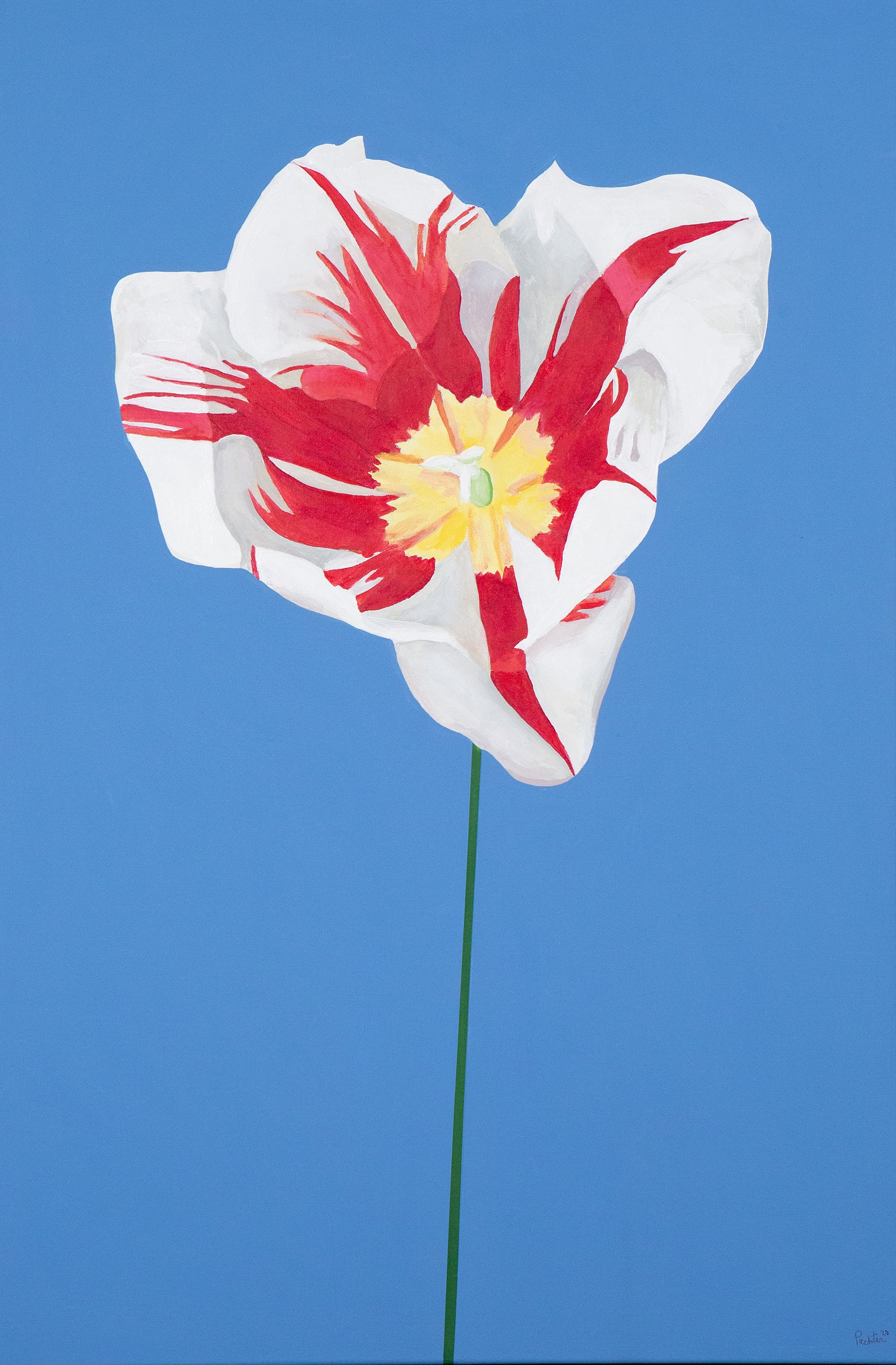 CHARLES PACHTER "GRAND TULIP" ACRYLIC ON CANVAS, 2020 - Image 12