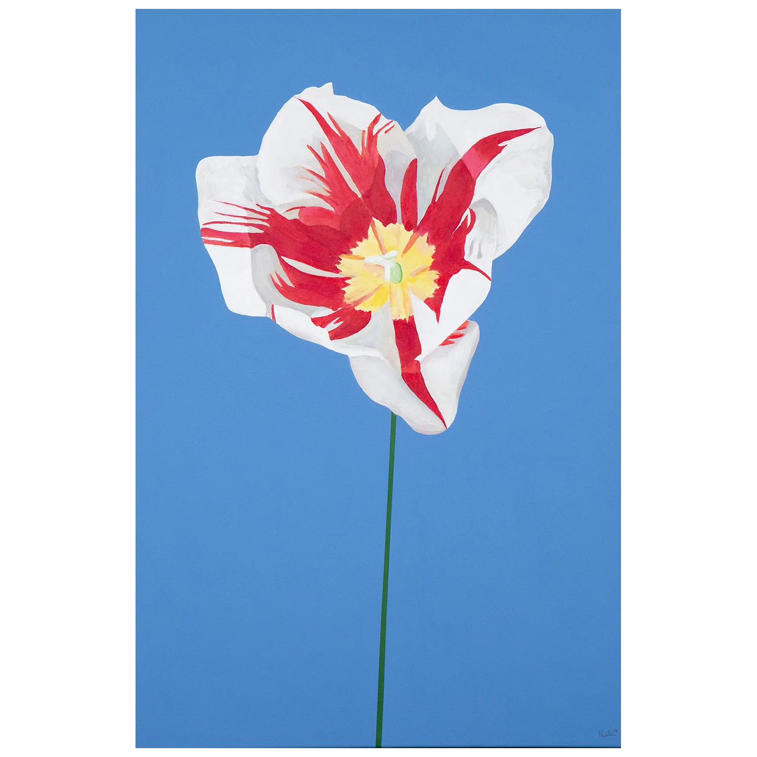 CHARLES PACHTER "GRAND TULIP" ACRYLIC ON CANVAS, 2020 - Image 3