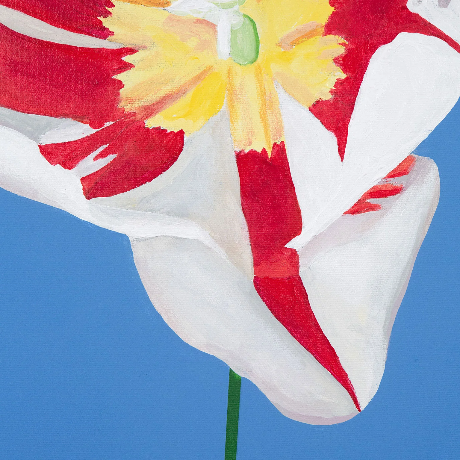CHARLES PACHTER "GRAND TULIP" ACRYLIC ON CANVAS, 2020 - Image 7