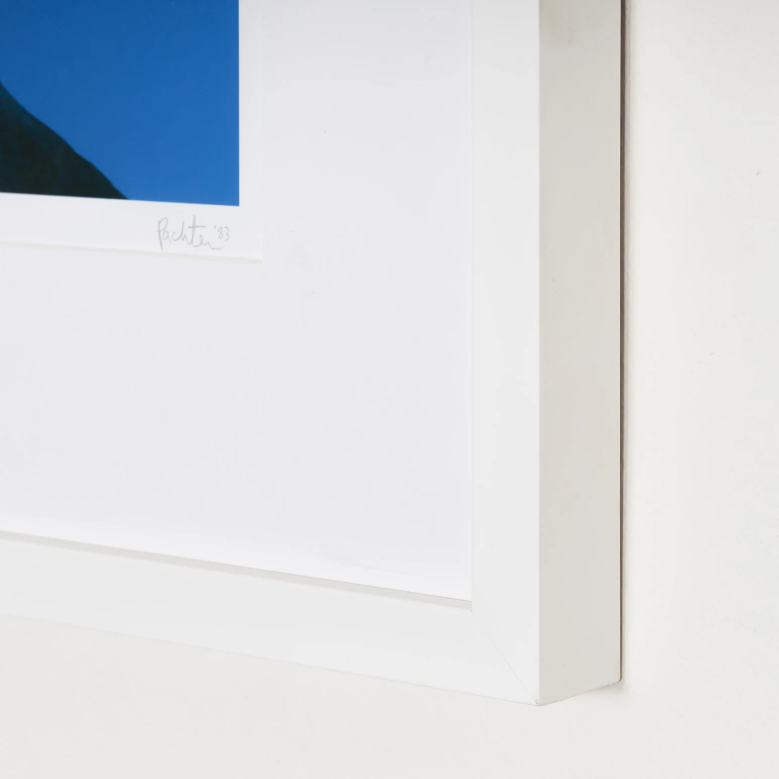 CHARLES PACHTER "JOY RIDE" GLICÉE, 1983 - Image 13