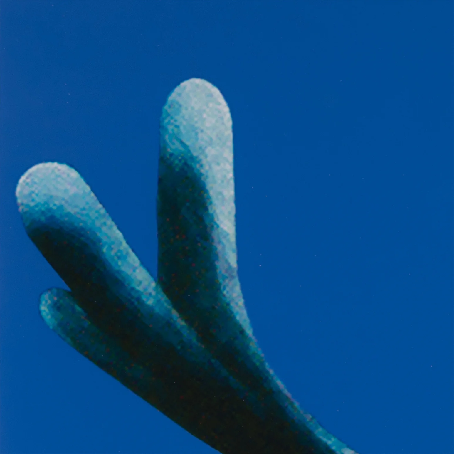 CHARLES PACHTER "JOY RIDE" GLICÉE, 1983 - Image 8