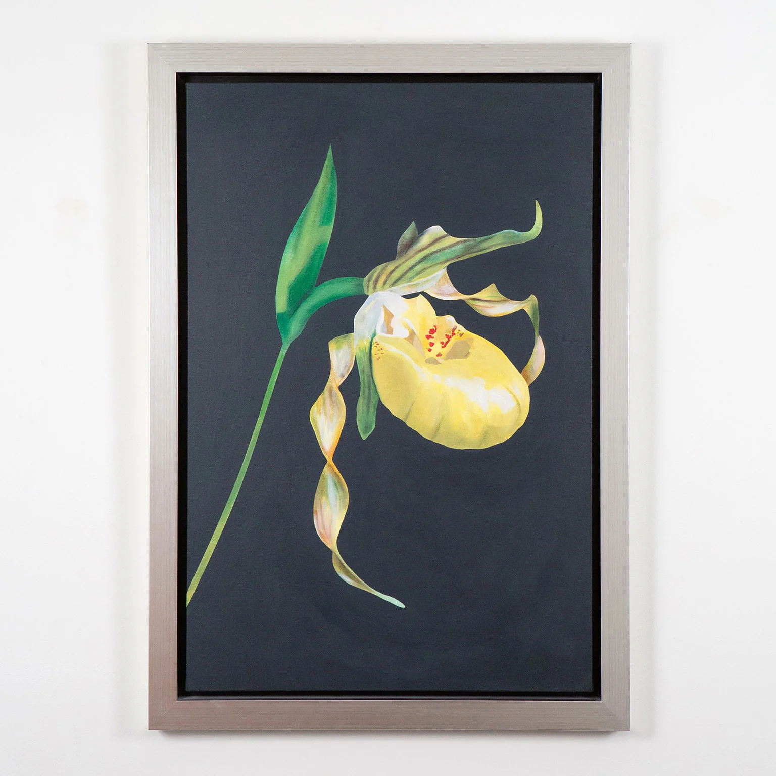 CHARLES PACHTER "LADY'S SLIPPER" ACRYLIC ON CANVAS, 2021 - Image 2